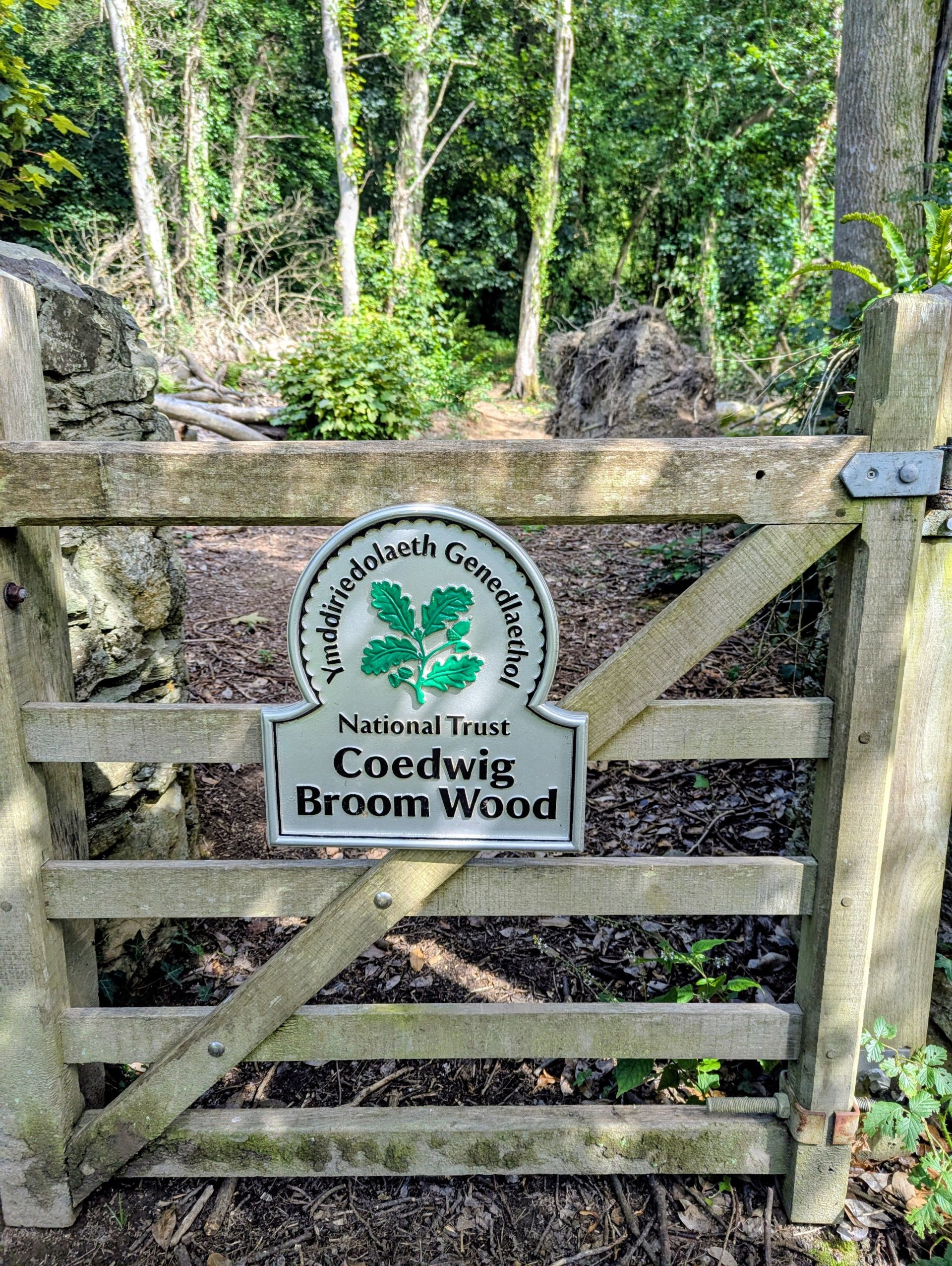 Broom Woods