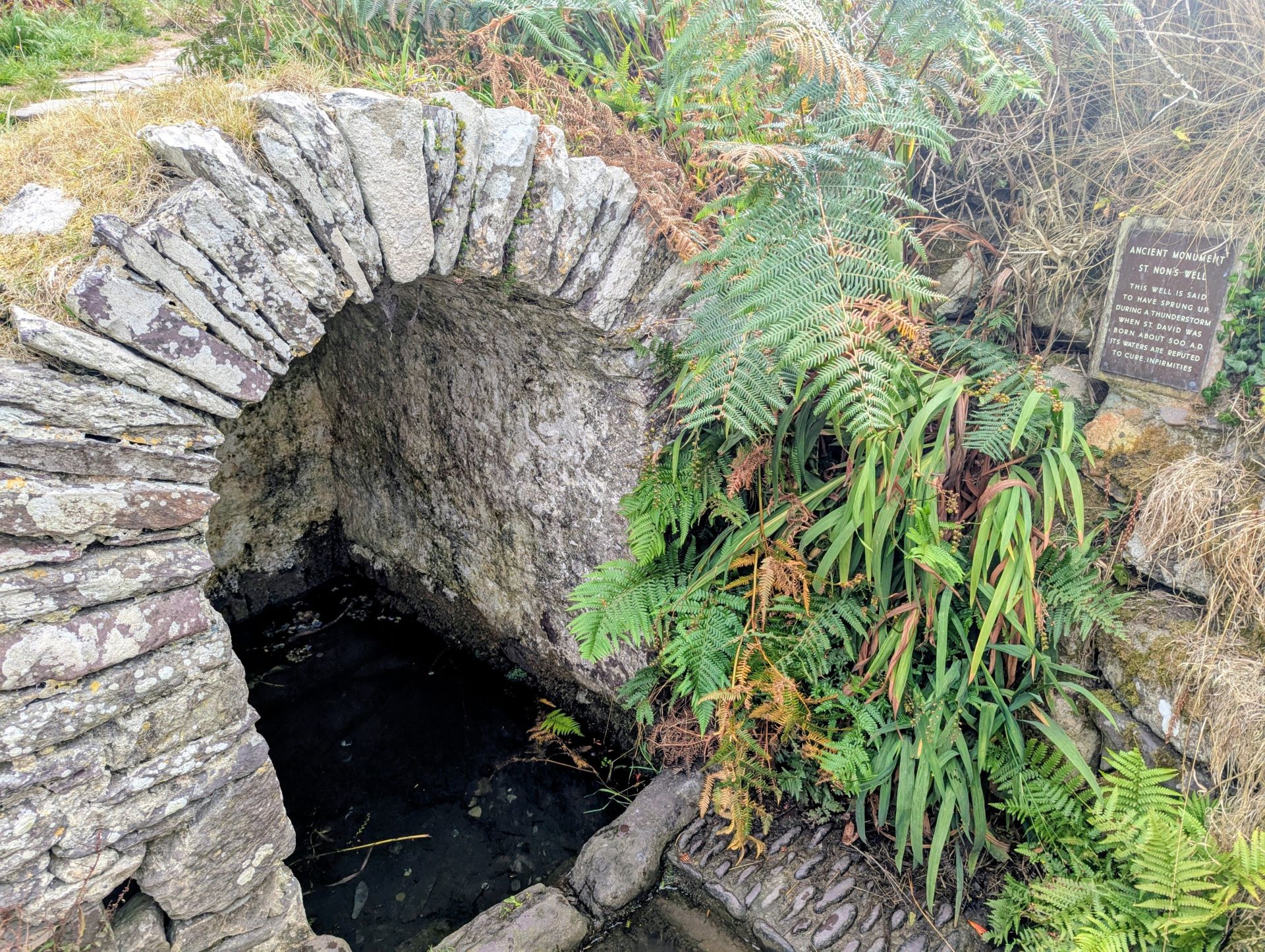 St Non's well