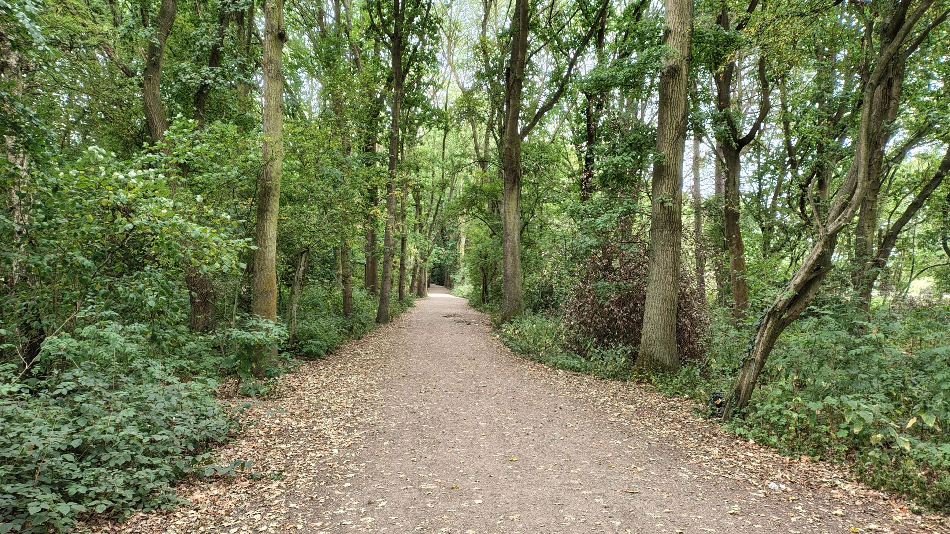 Footpath