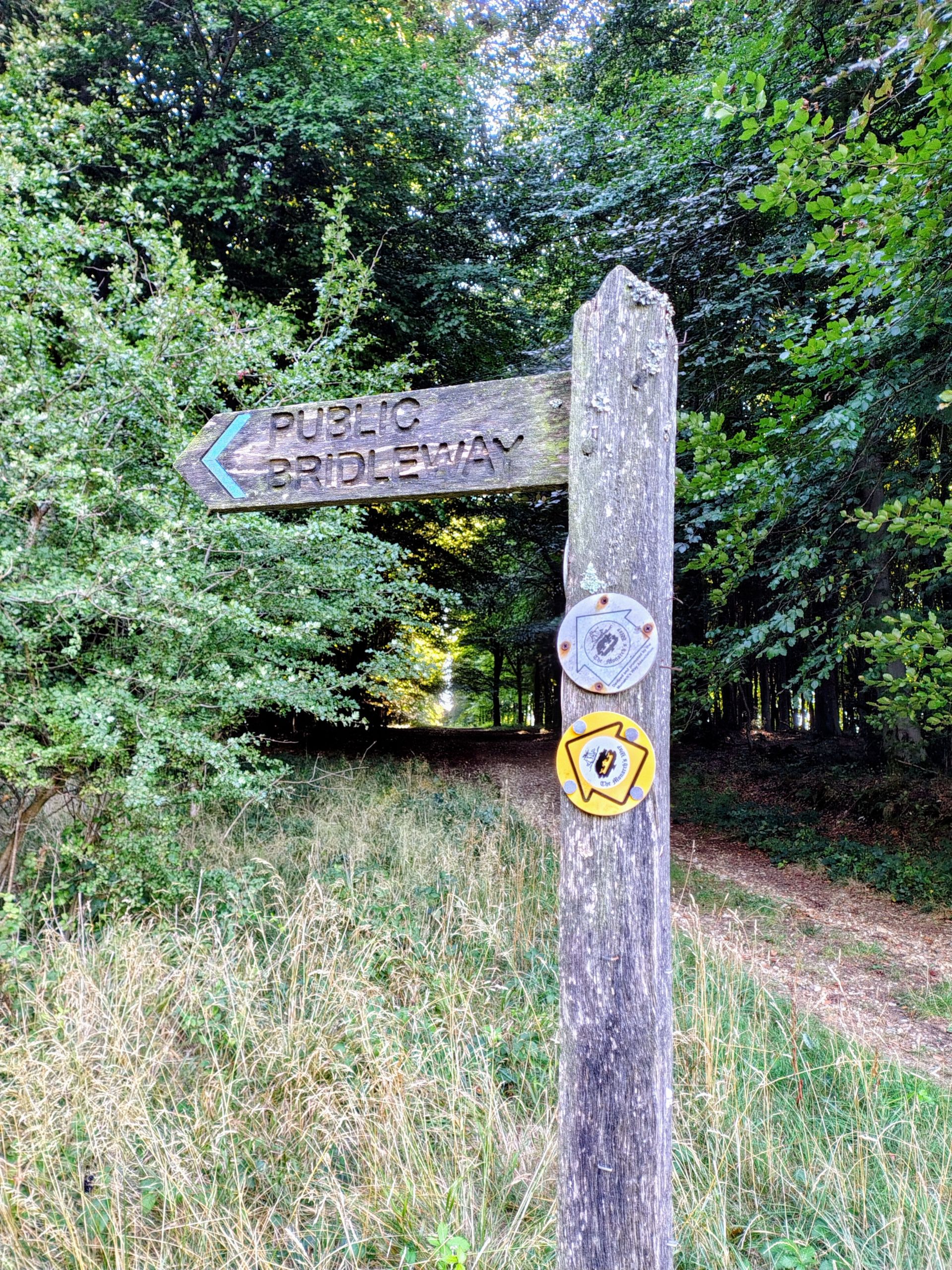 Stoughton Down