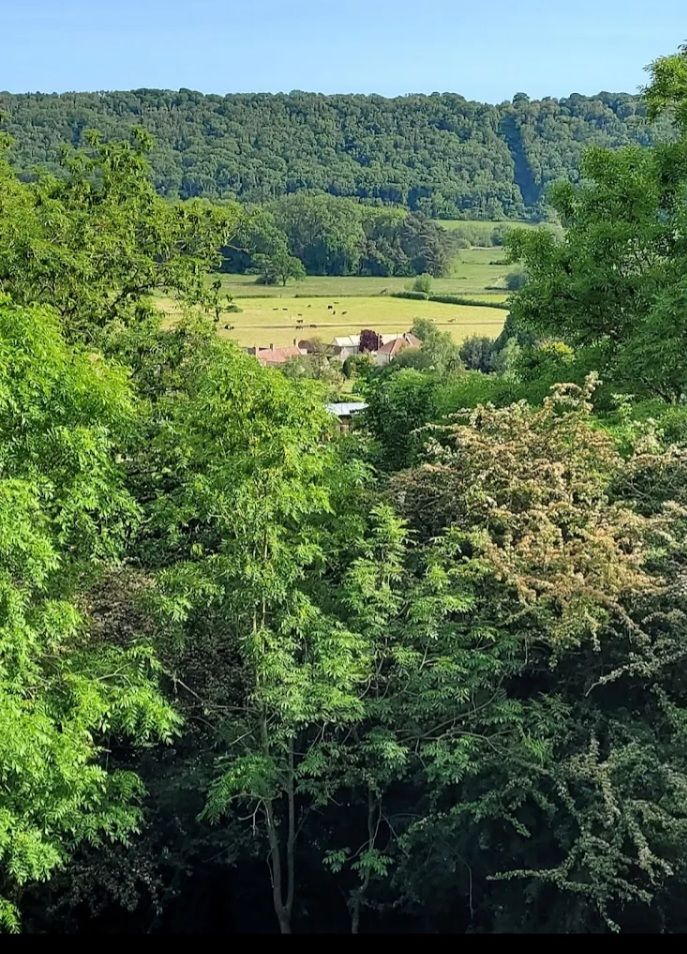 View across the valley 