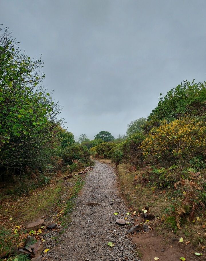 Footpath