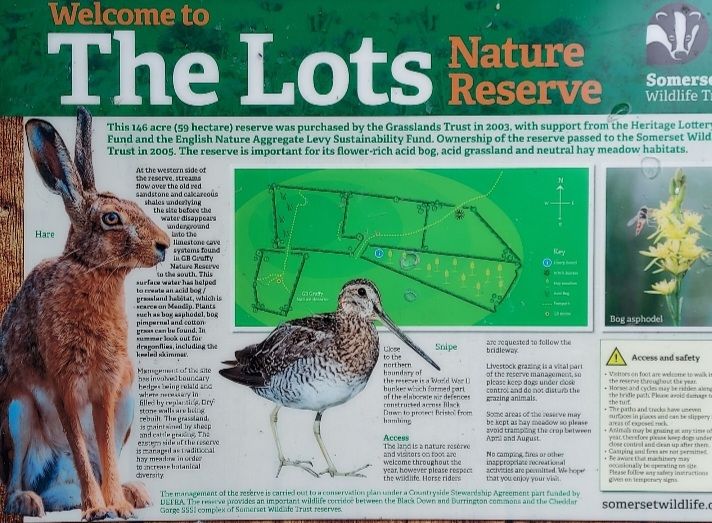 Information board