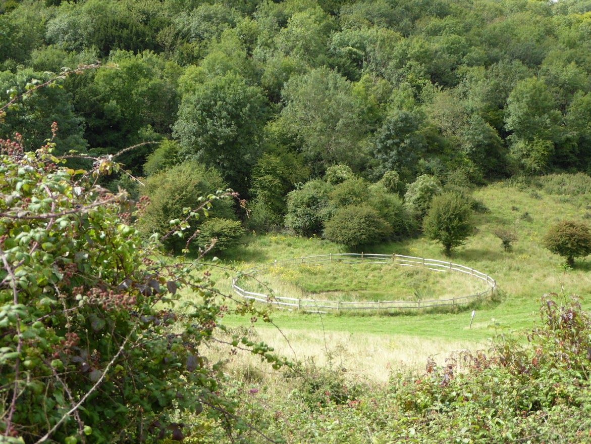 Harting Down without the hill - Ramblers