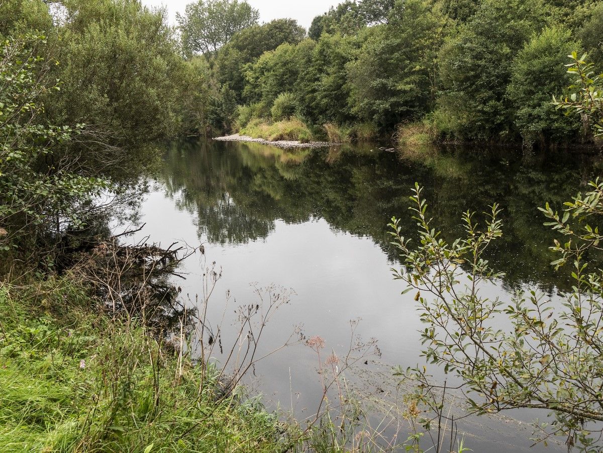A wooded stretch of the River Earn between Crieff and Muthill