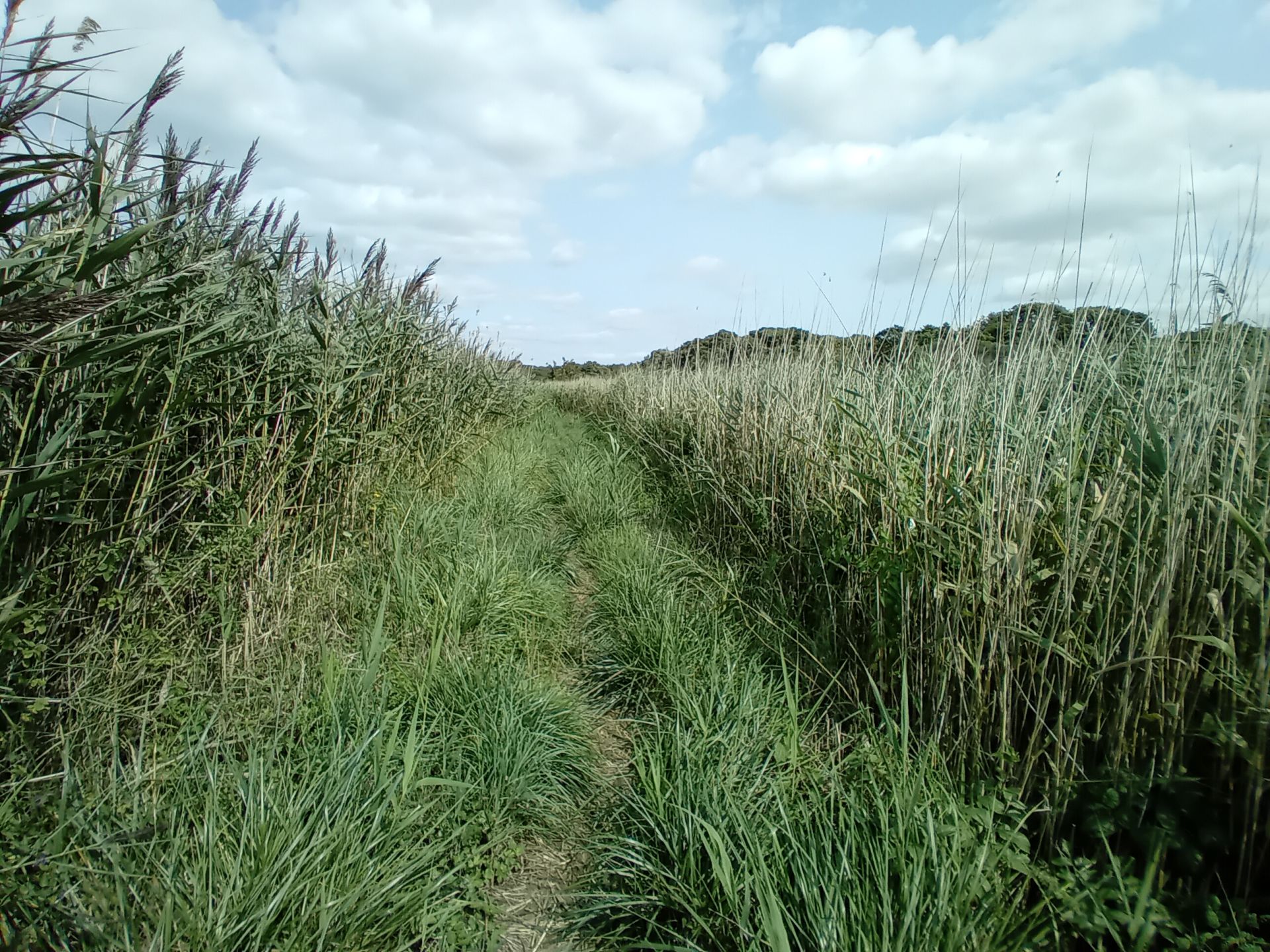 Freshwater Way