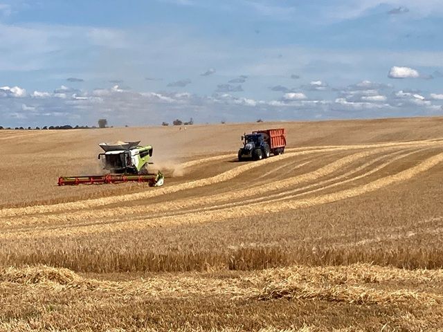 Farmers at work
