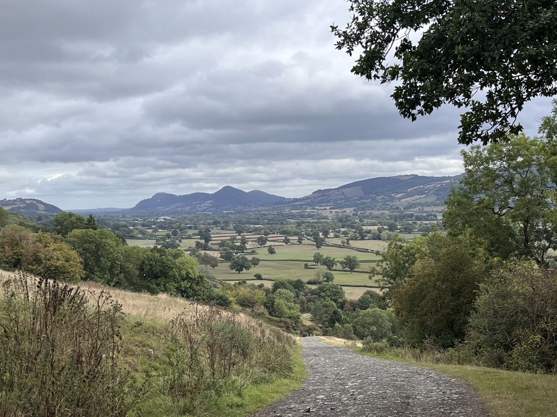 View during the walk