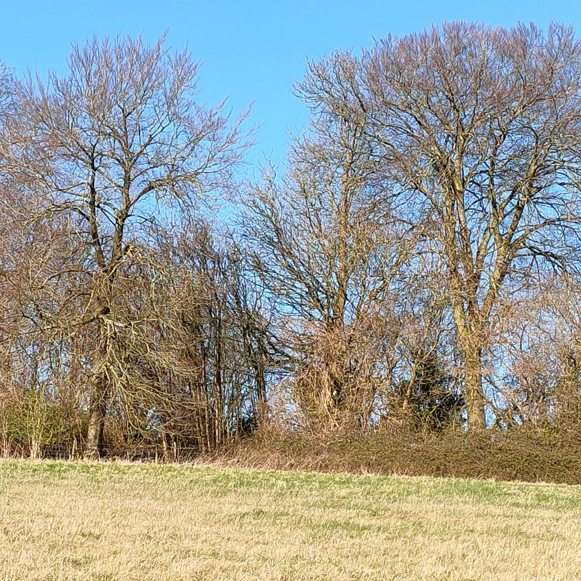 Southwick