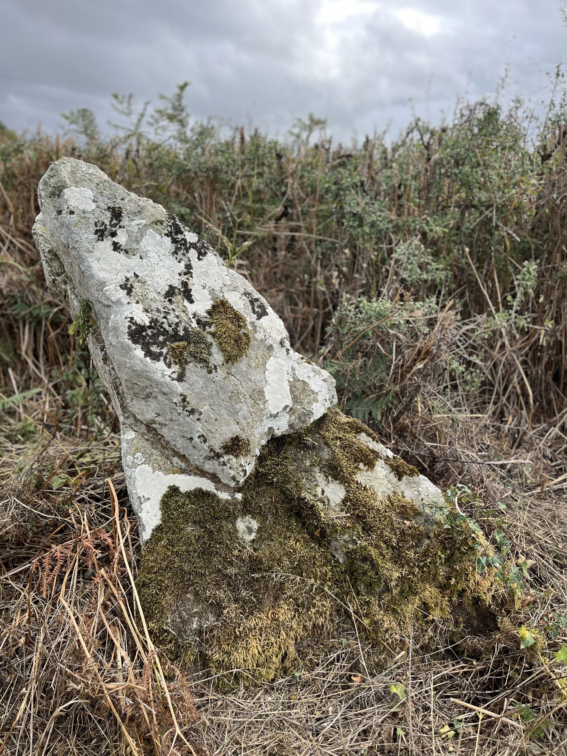 The “Maen Beuno” standing stone