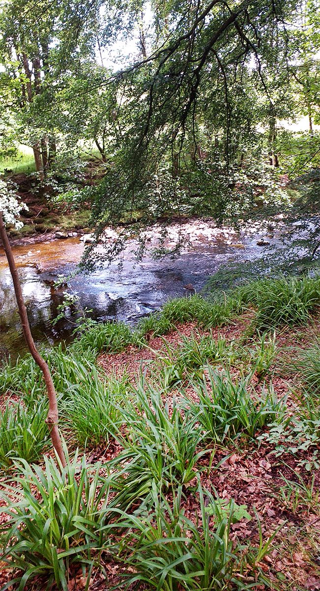 River Knaik at Braco
