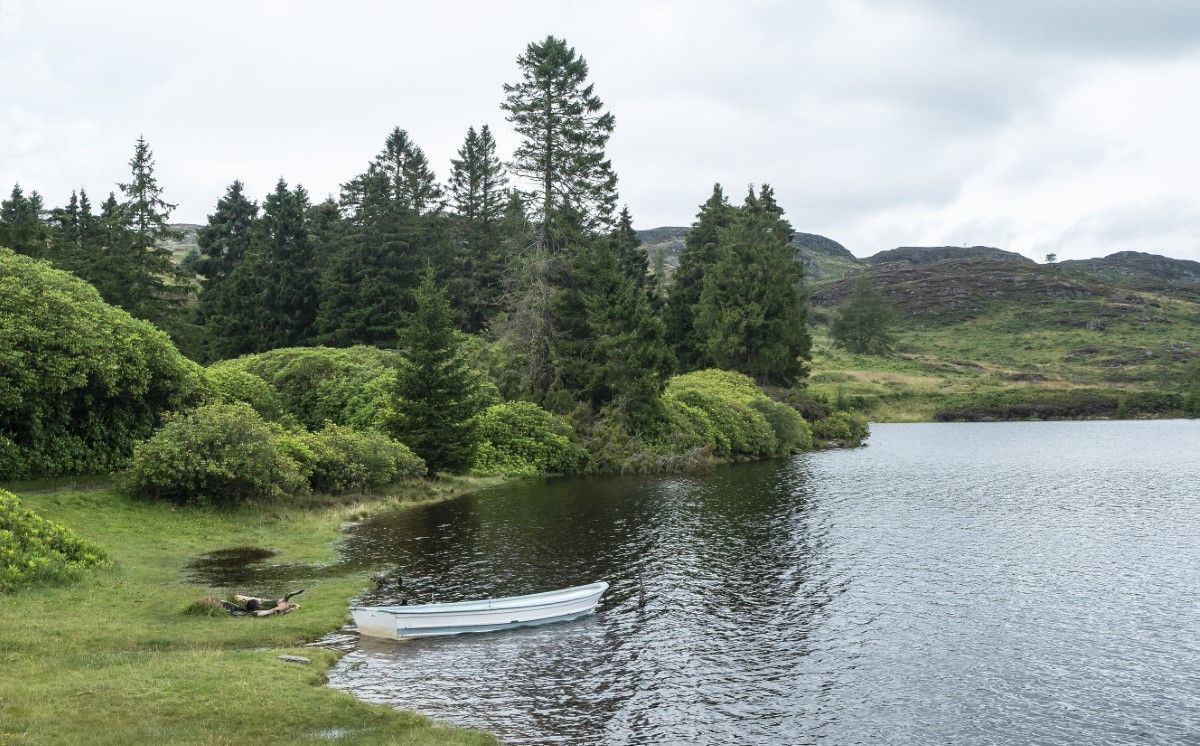 A view of Loch Ordie