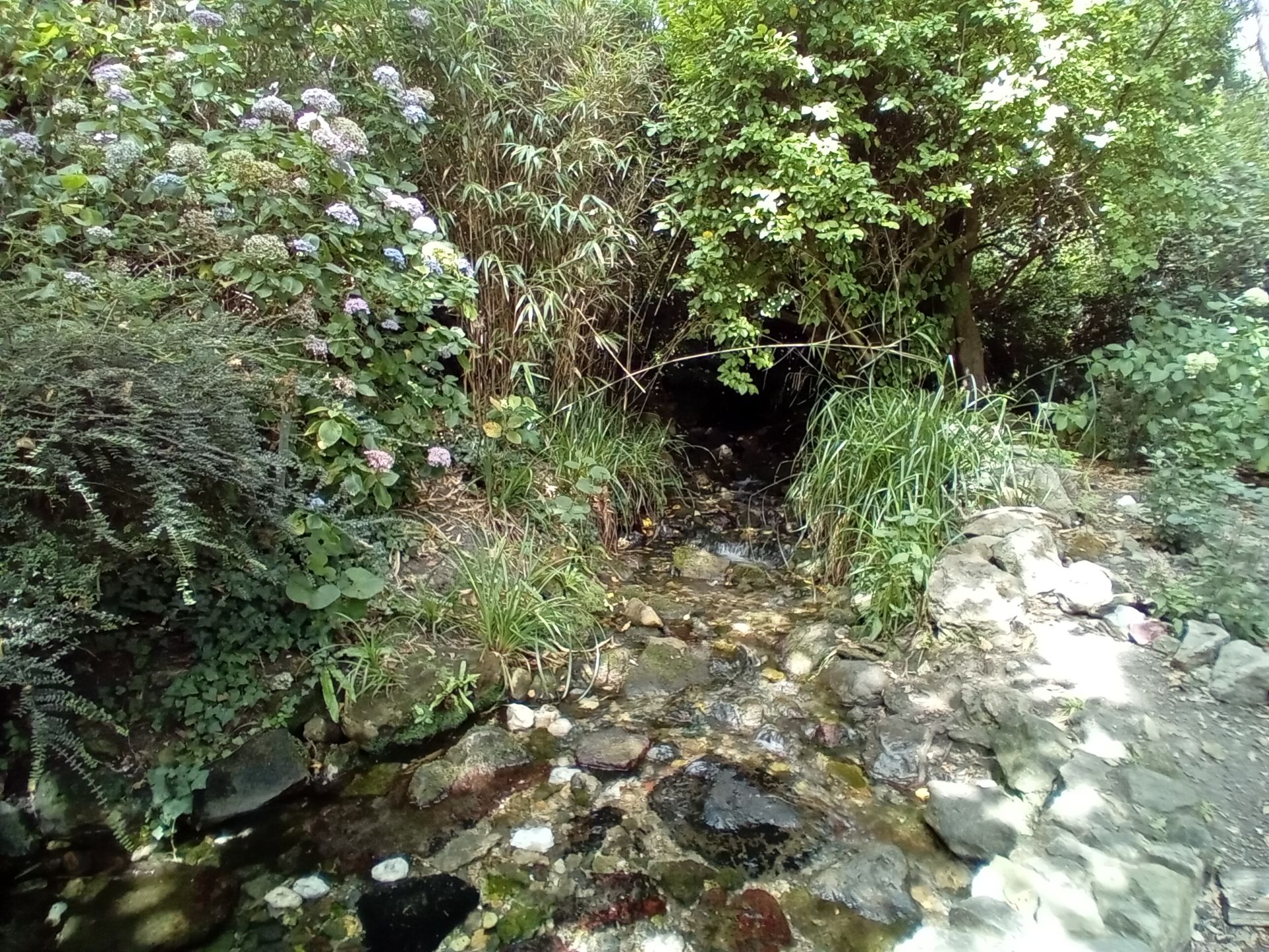 Charles Dickens' stream