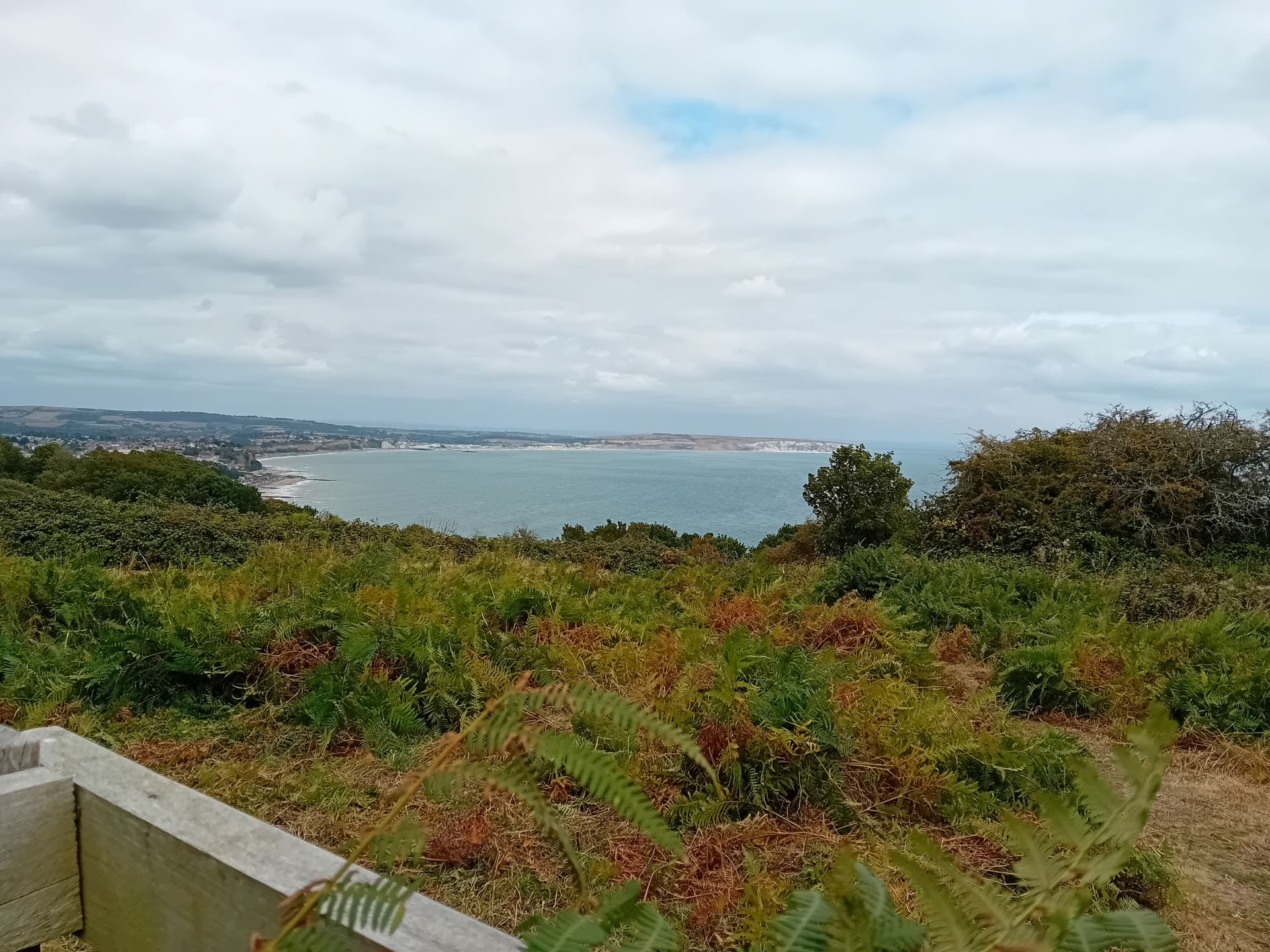 View