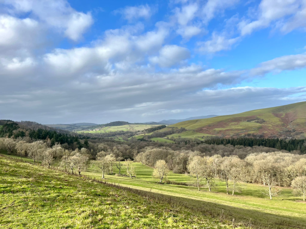 South Shropshire