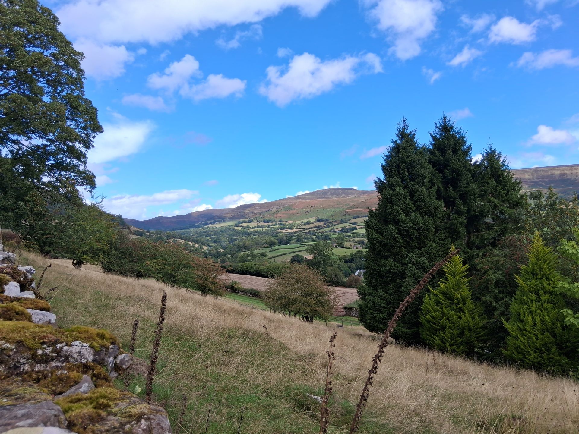 Jpeg tree and hill view