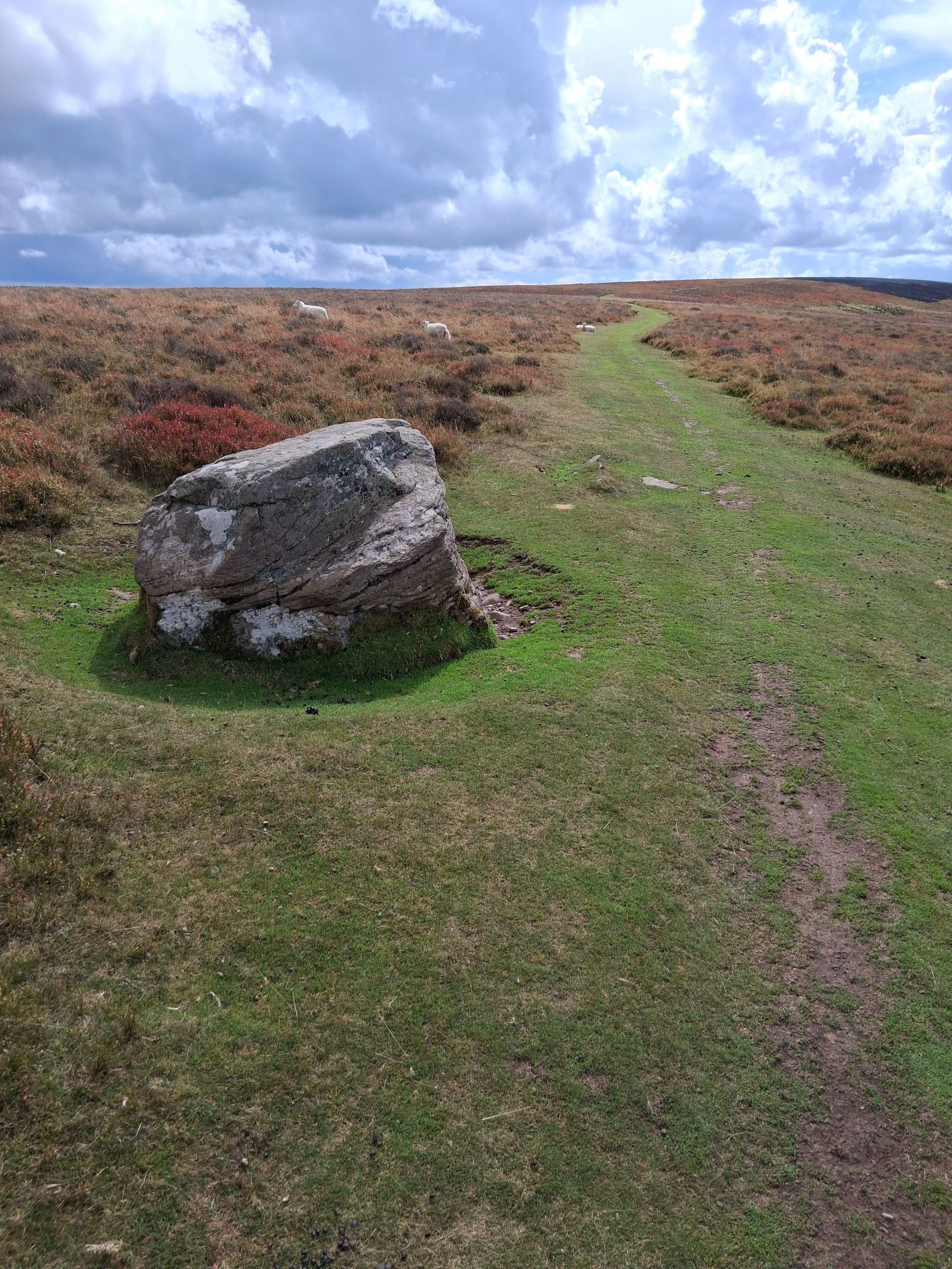 Jpeg Rock by path