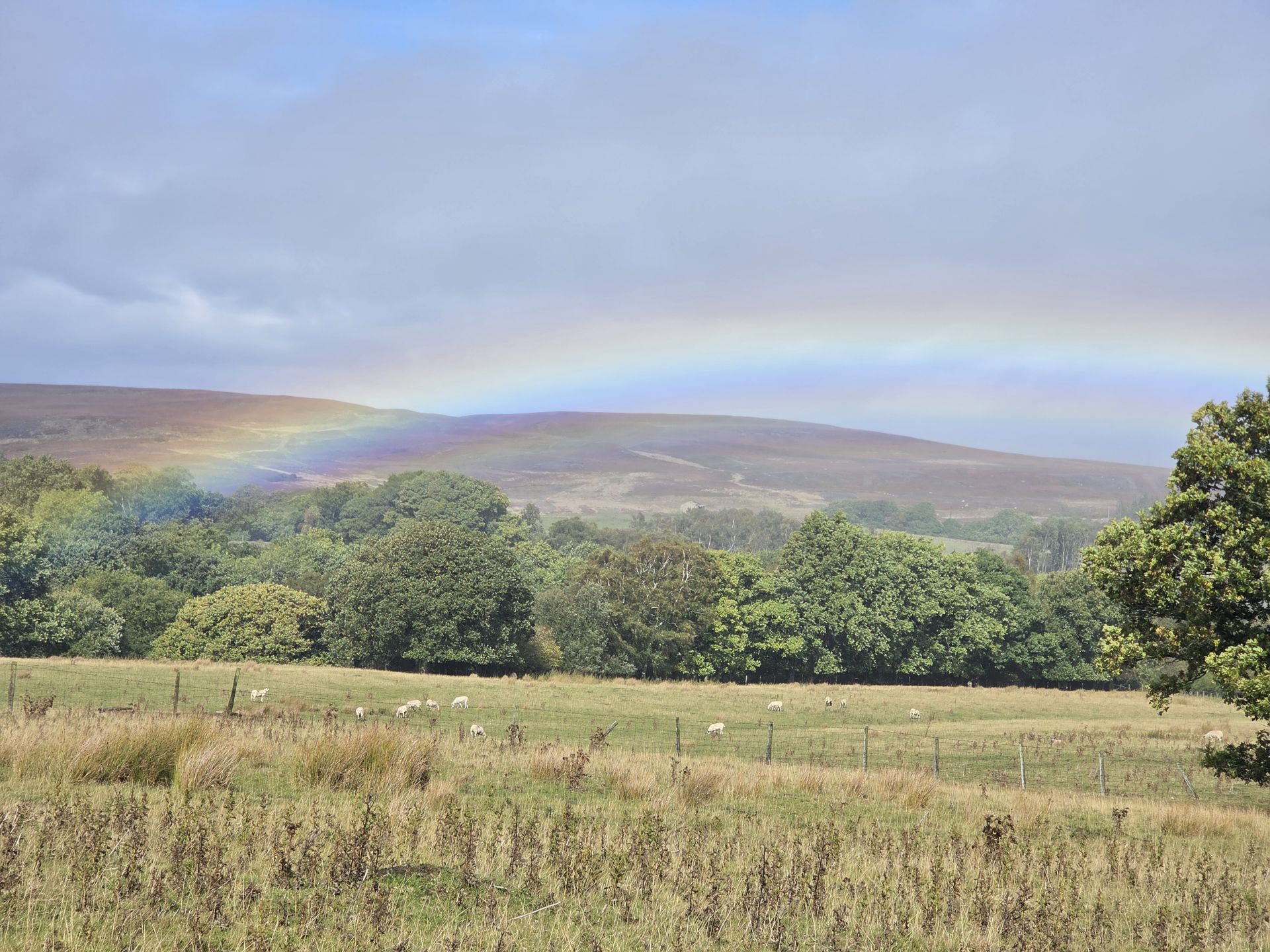 Rain bow
