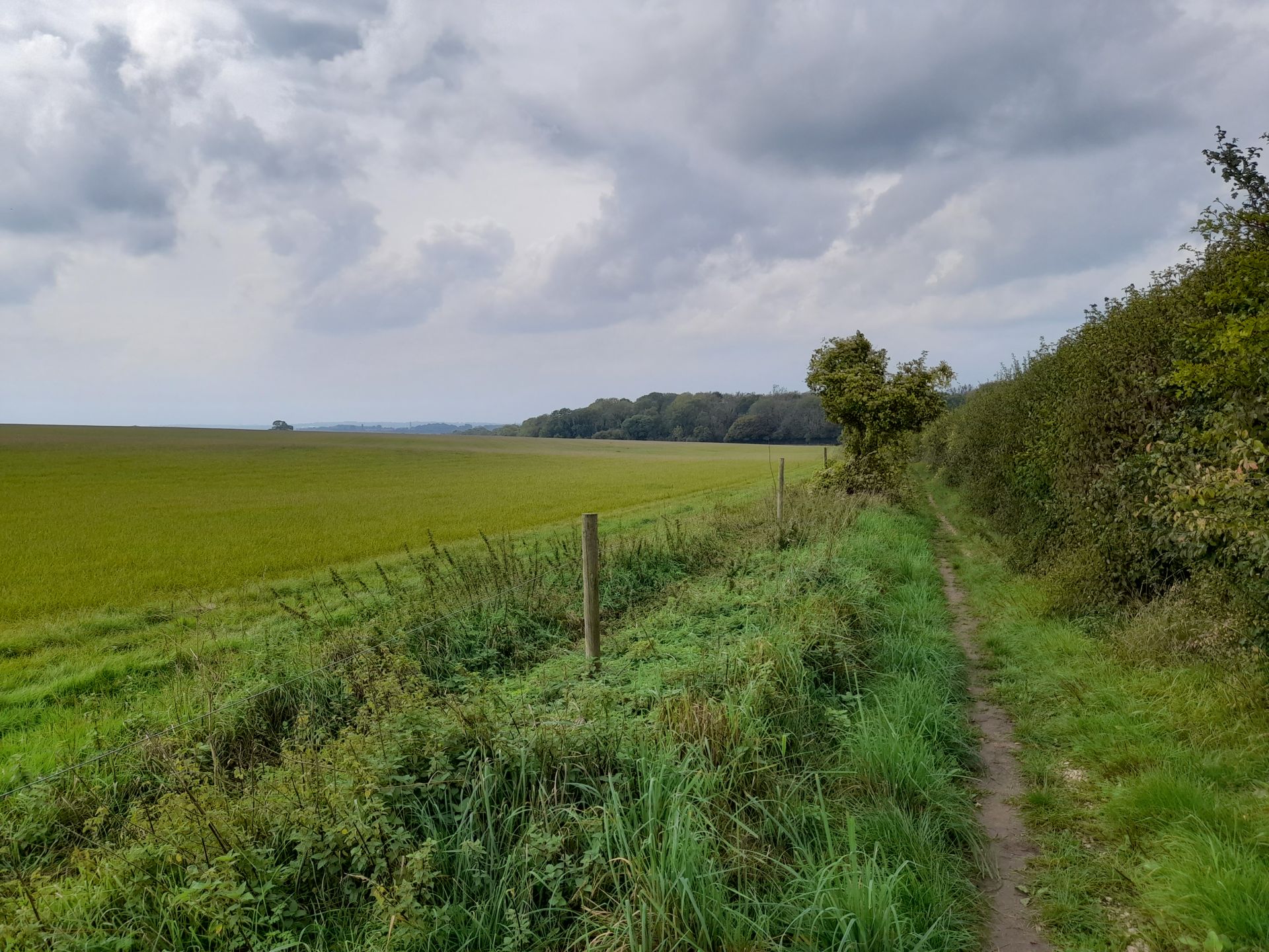 Upham Walk
