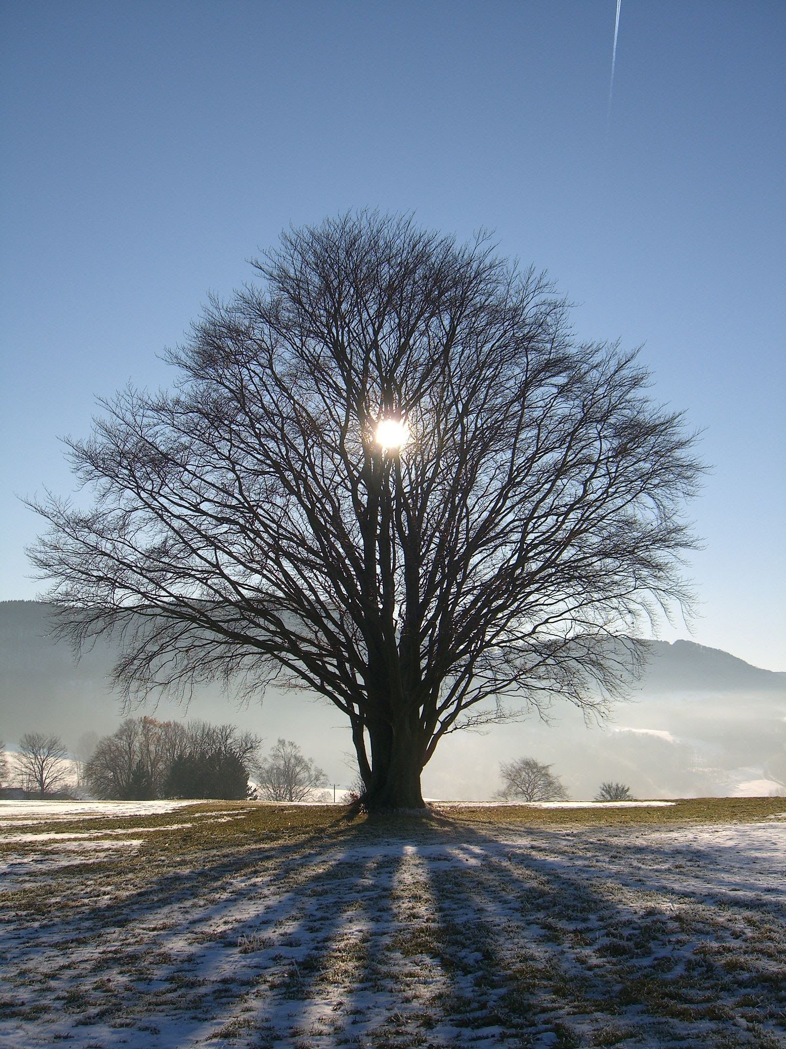 Winter Solstice