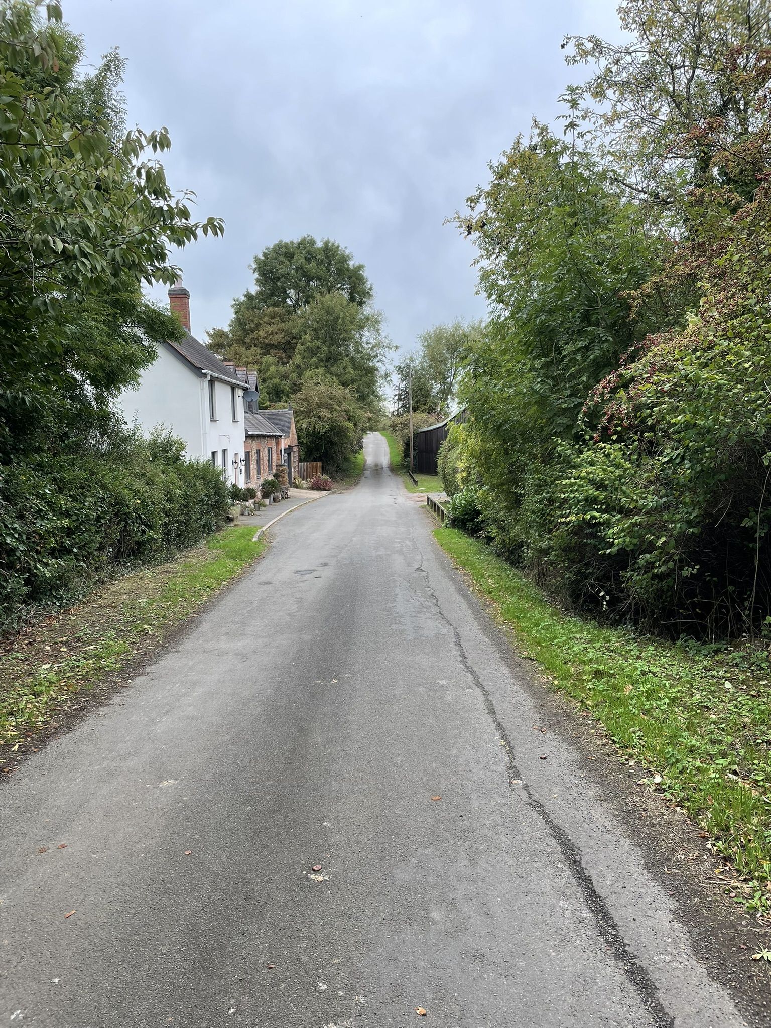 Low woods Lane