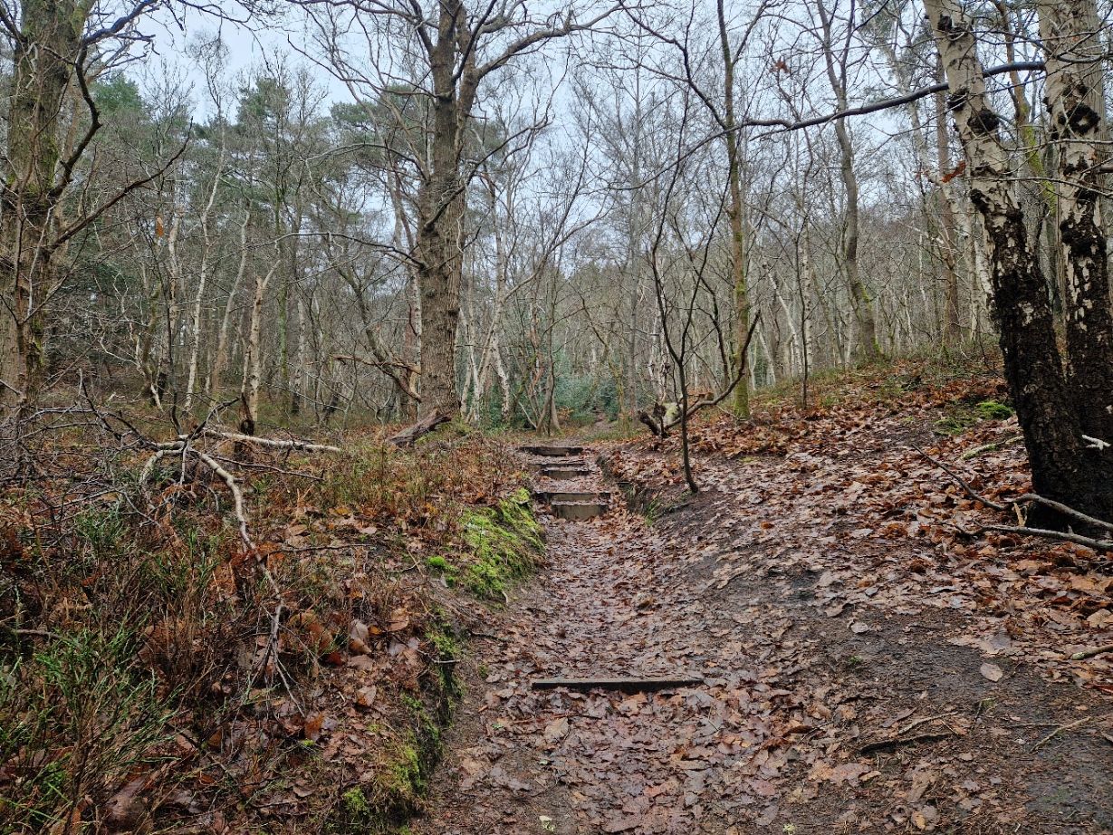 Steps