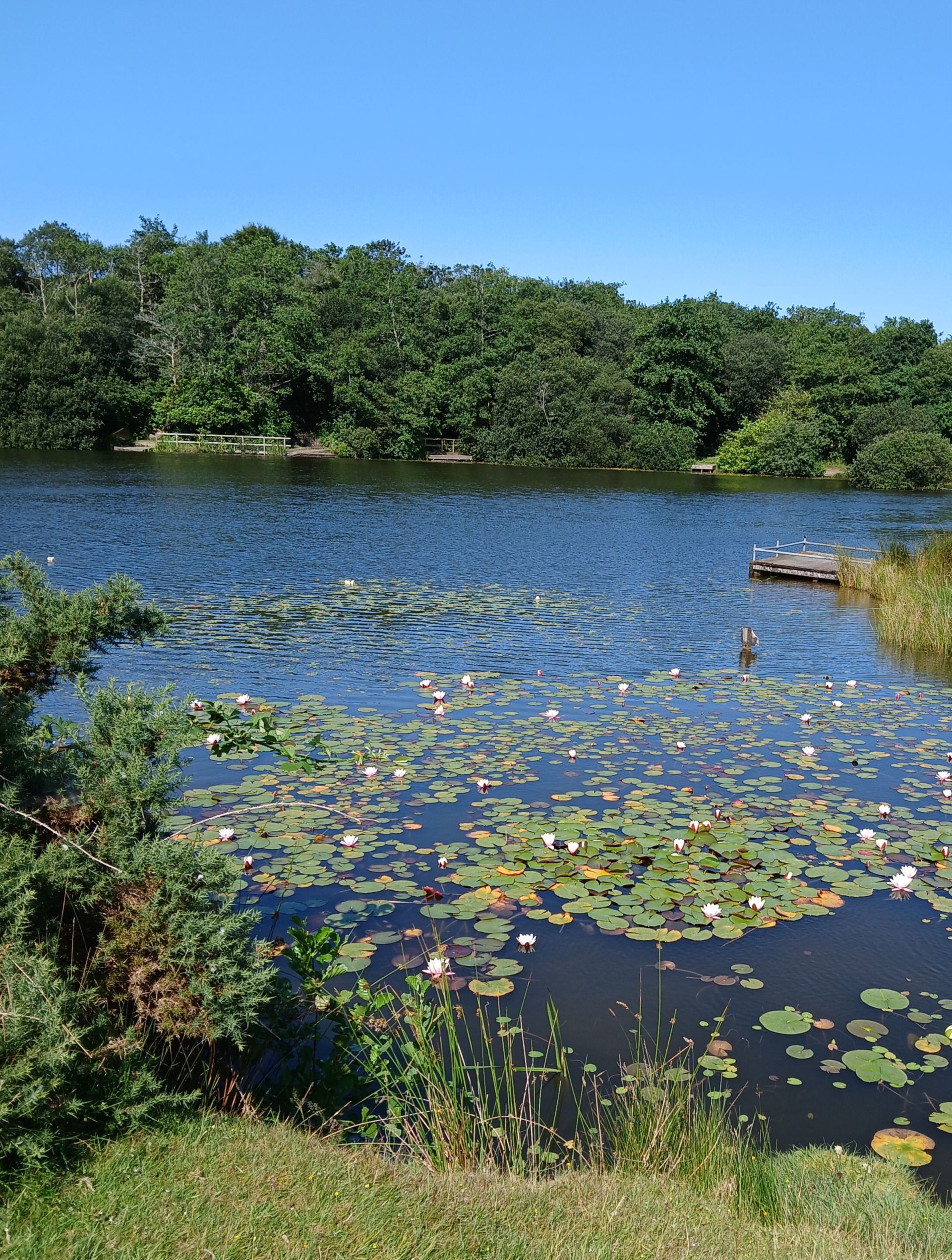 Cadover Lakes