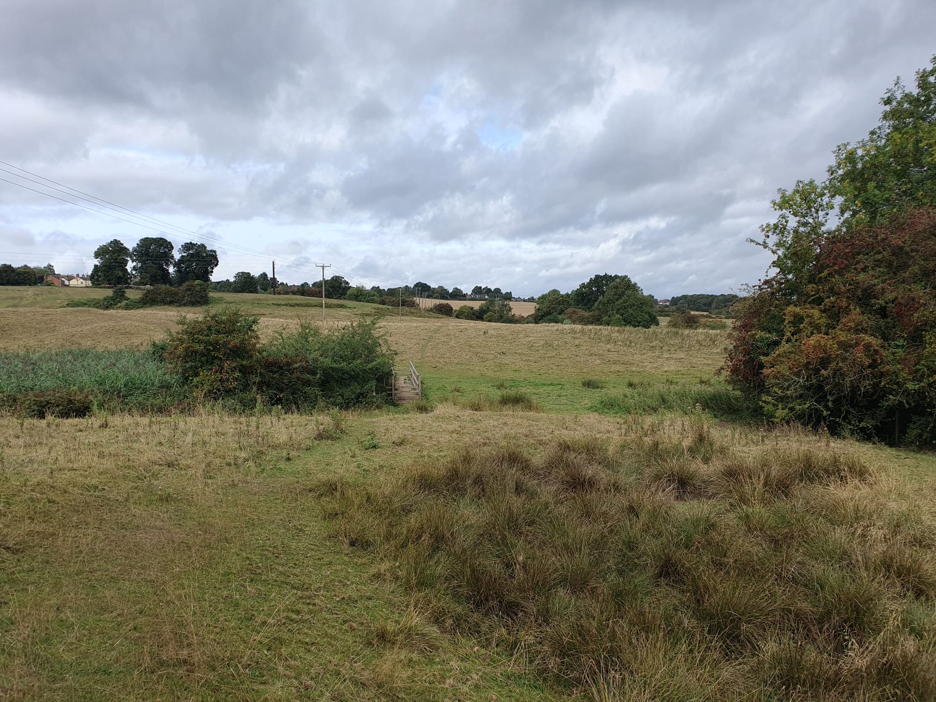 View towards Bagworth