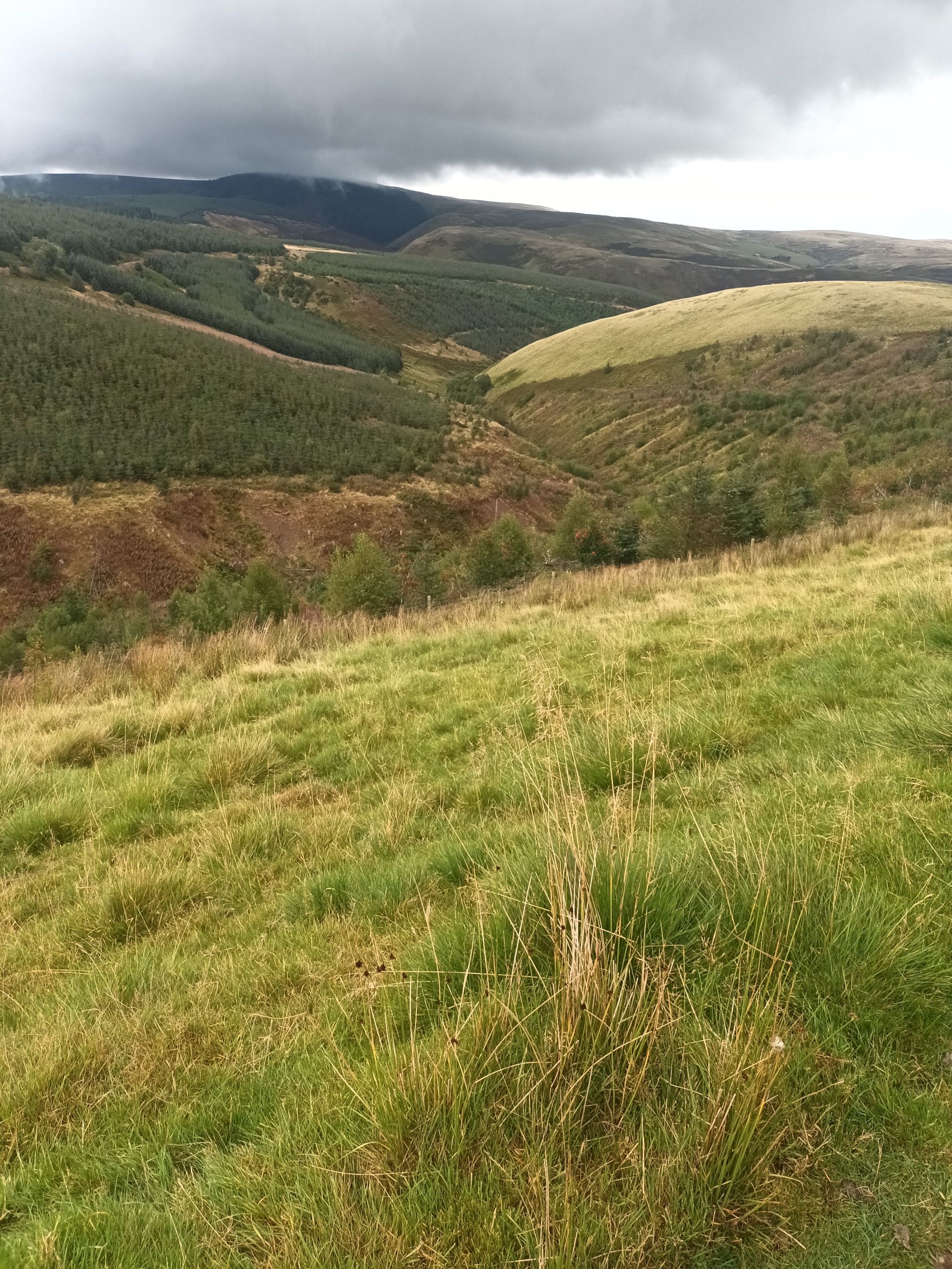 View 3