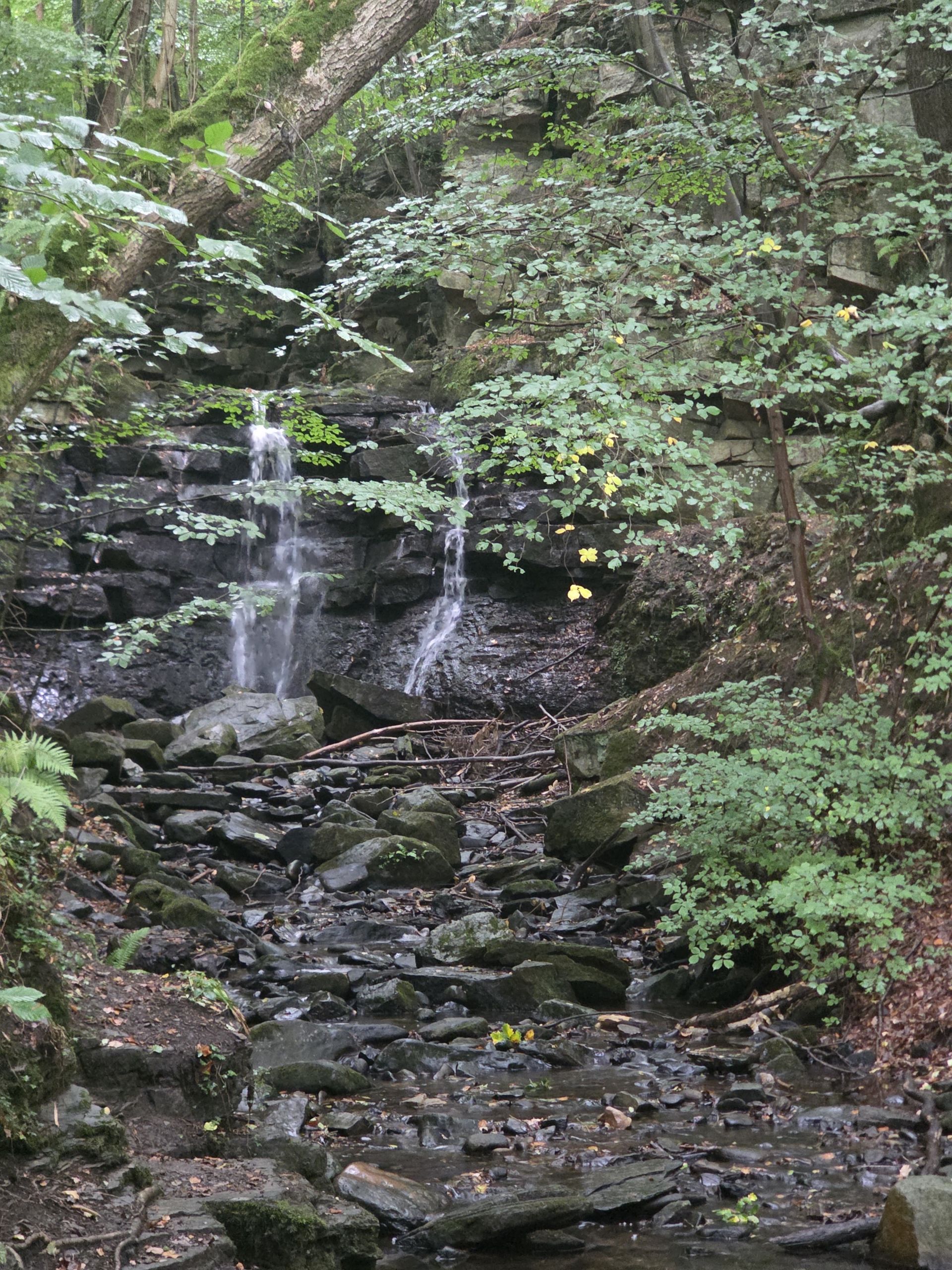 Waterfall