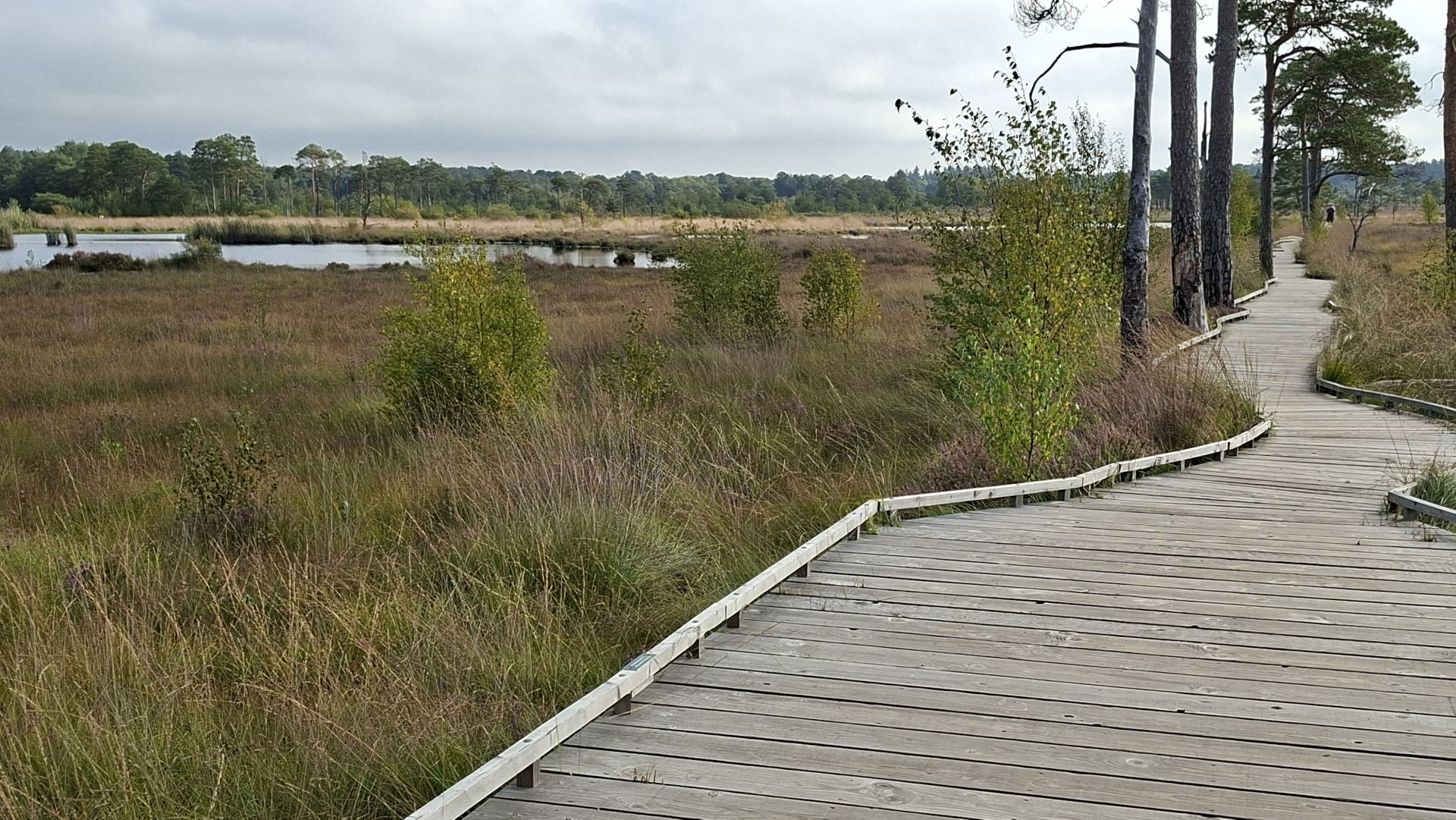 Boardwalk 2