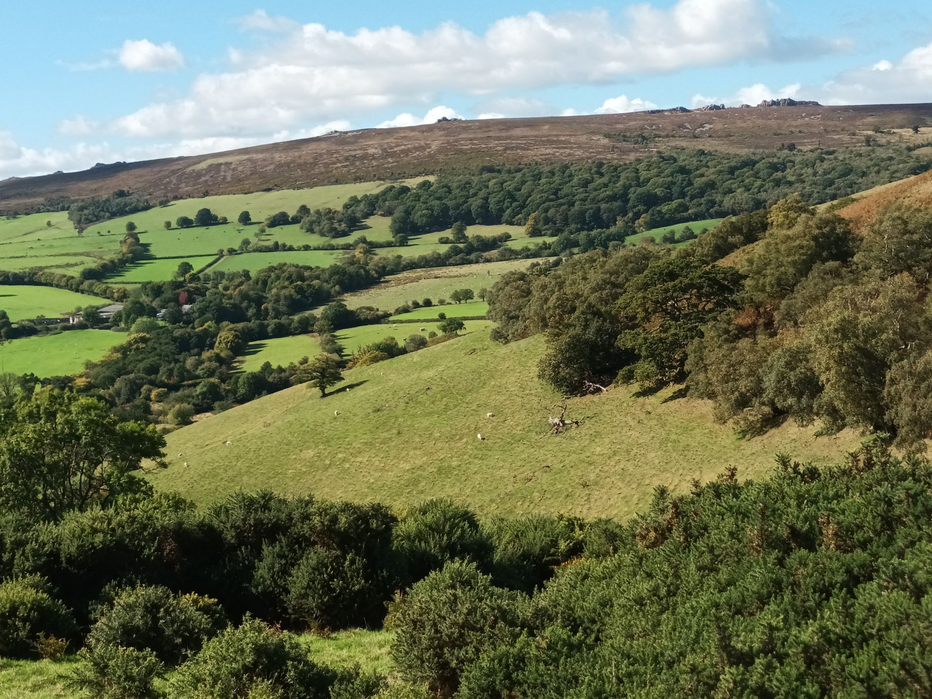 Gatten Valley