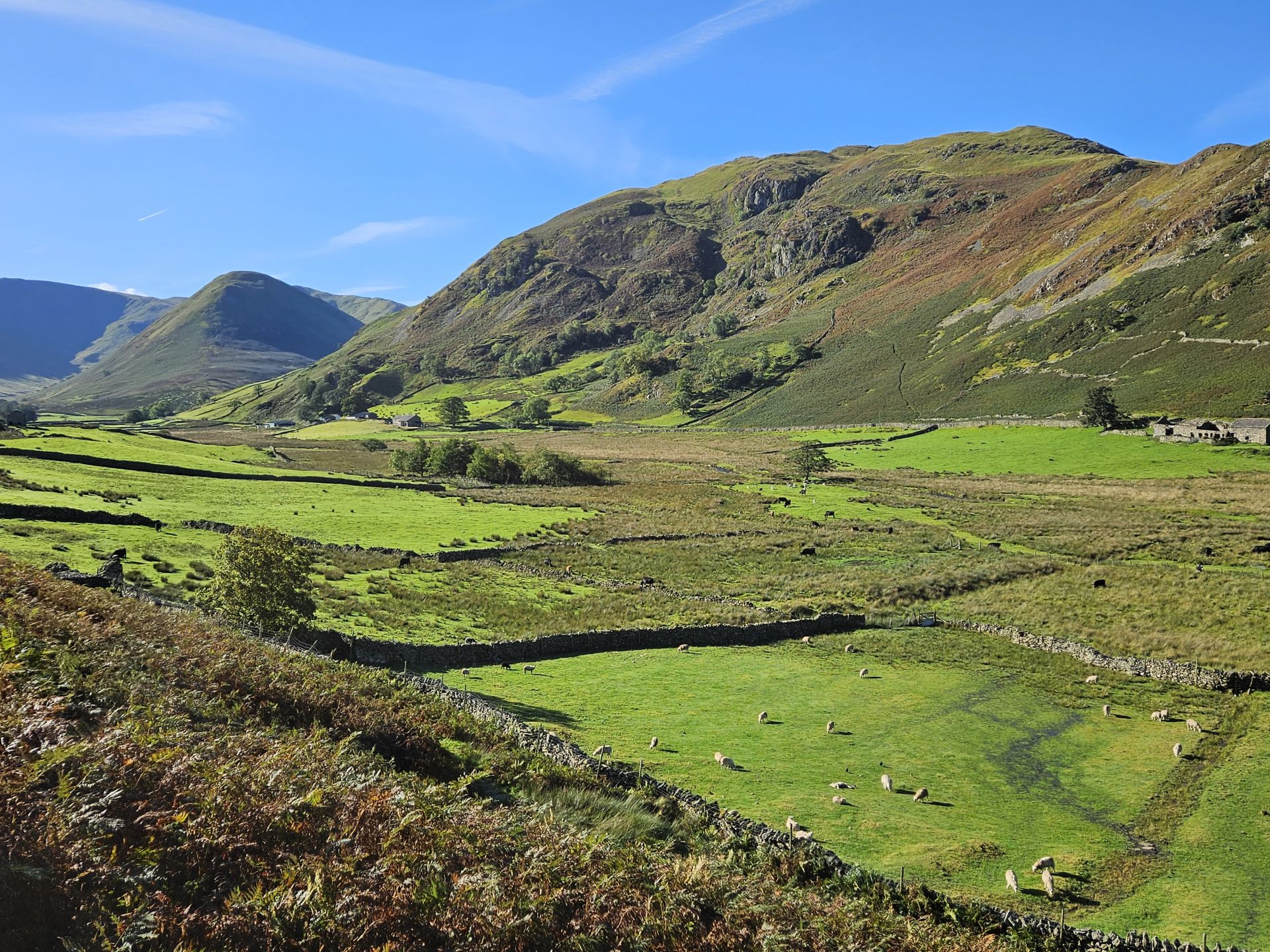 Martindale 2