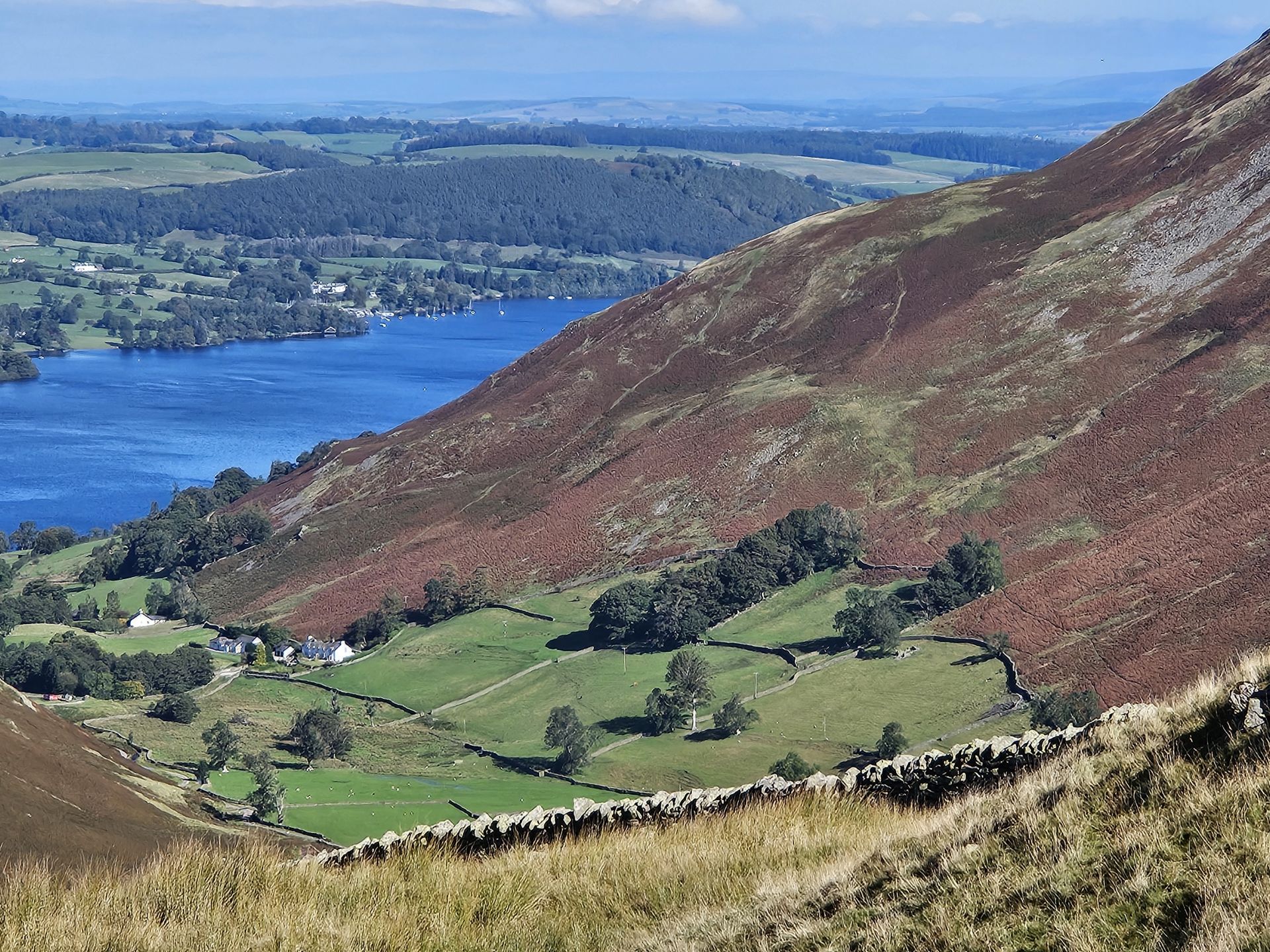 martindale 1