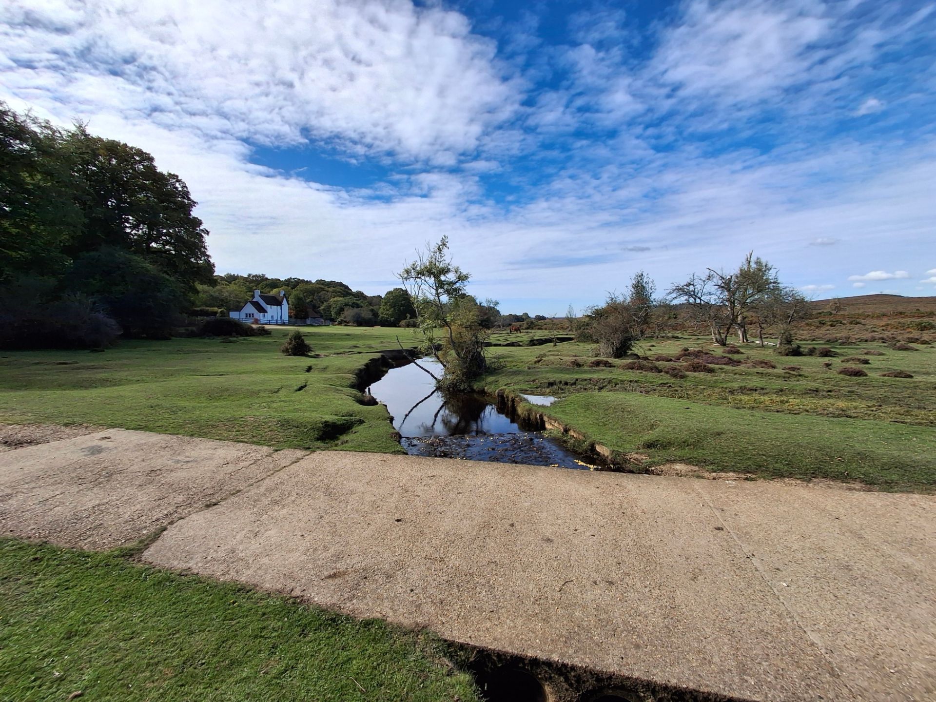 Dockens Water just north of Holly Hatch Inclosure