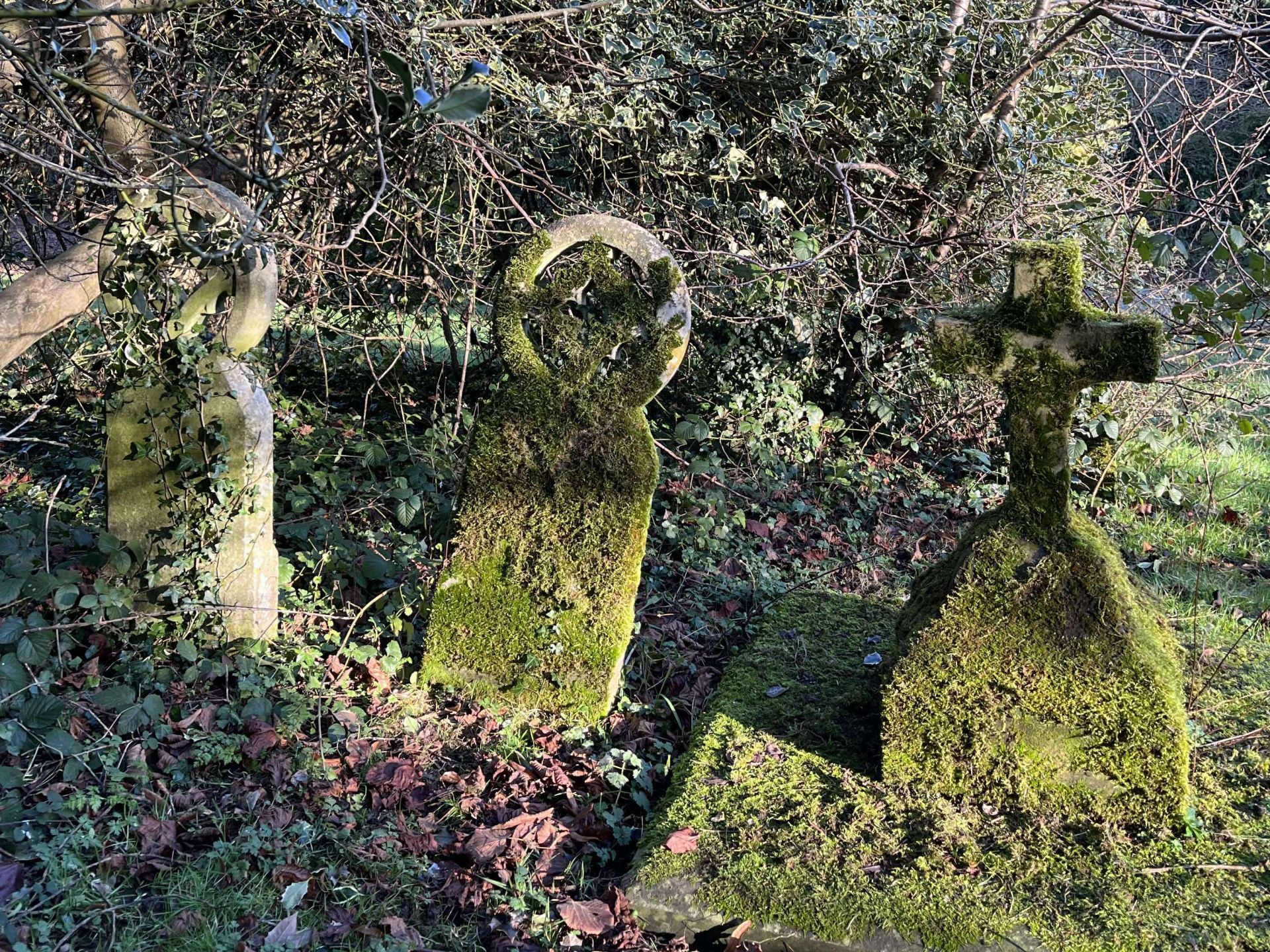 Moss covered gravestones