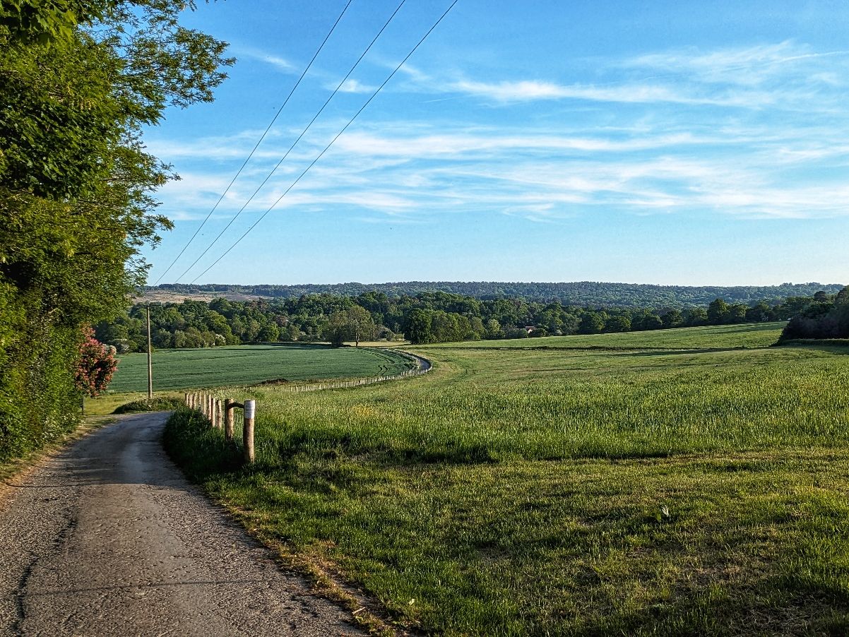 Near Ashdown House 