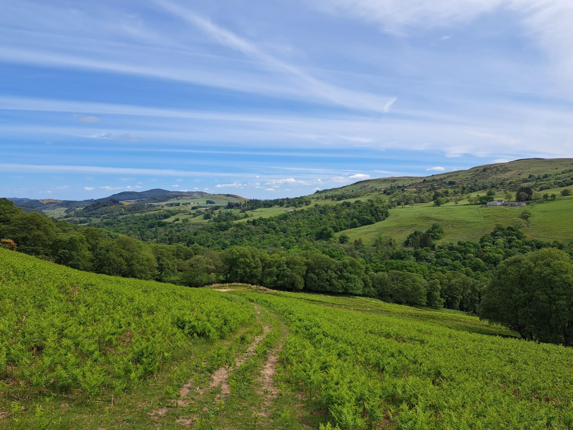 Lower Glen Artney