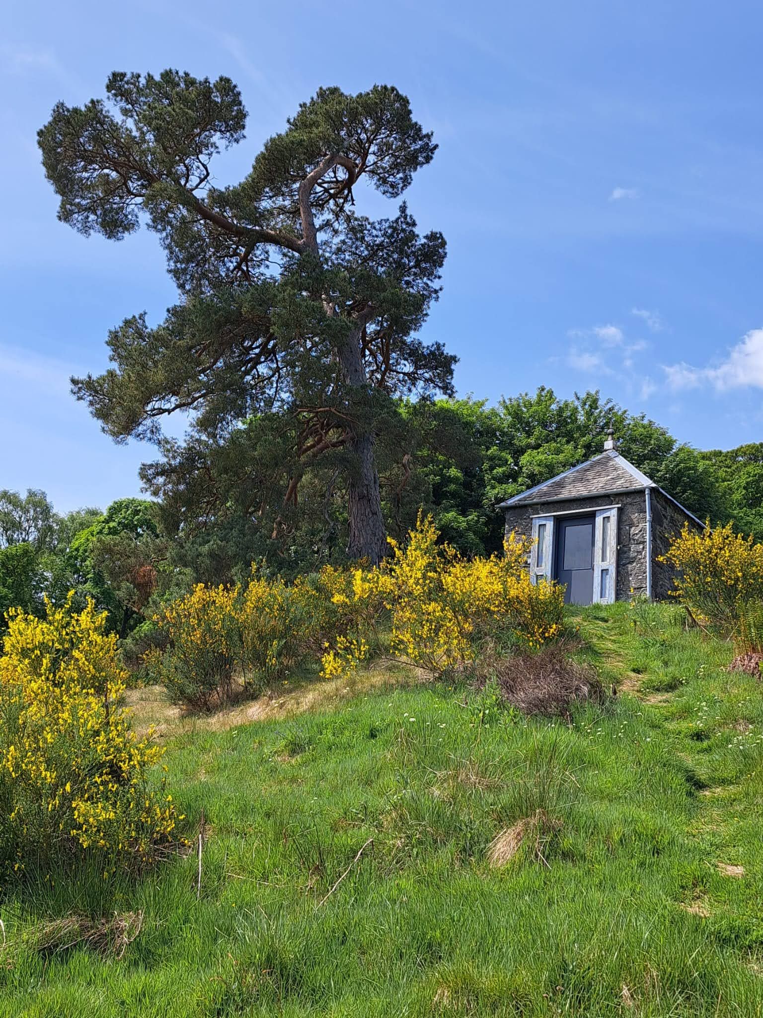 The Earthquake House
