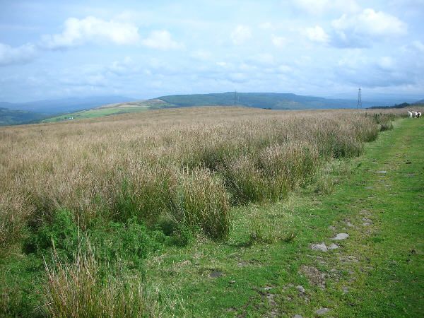 Top of Brynau Farm