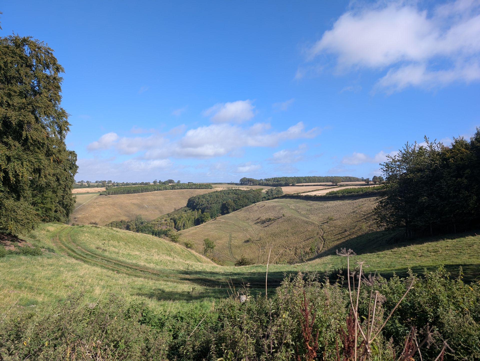 Painsthorpe Dale