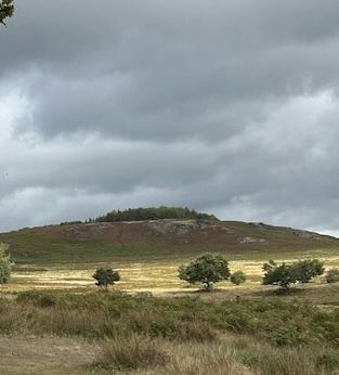 Bradgate3
