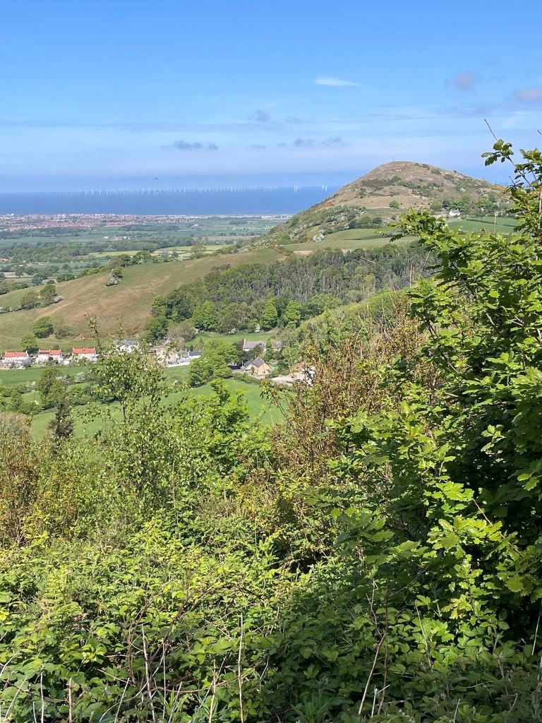 view 2