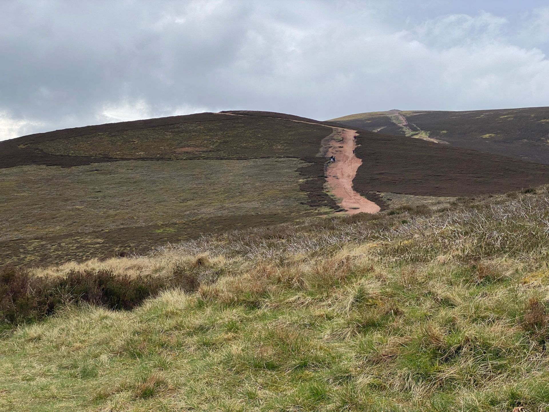 Tinto path 