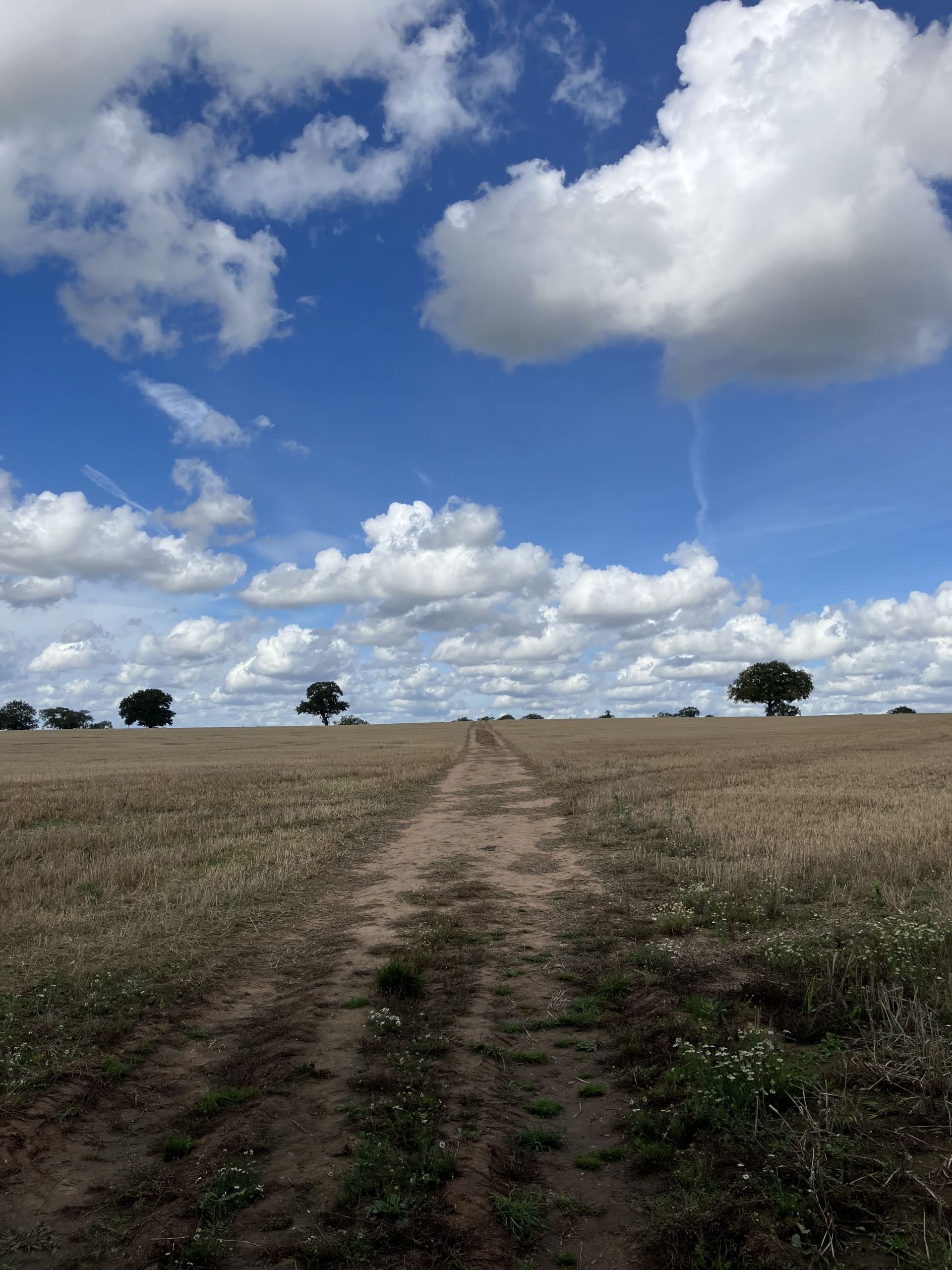 Open countryside