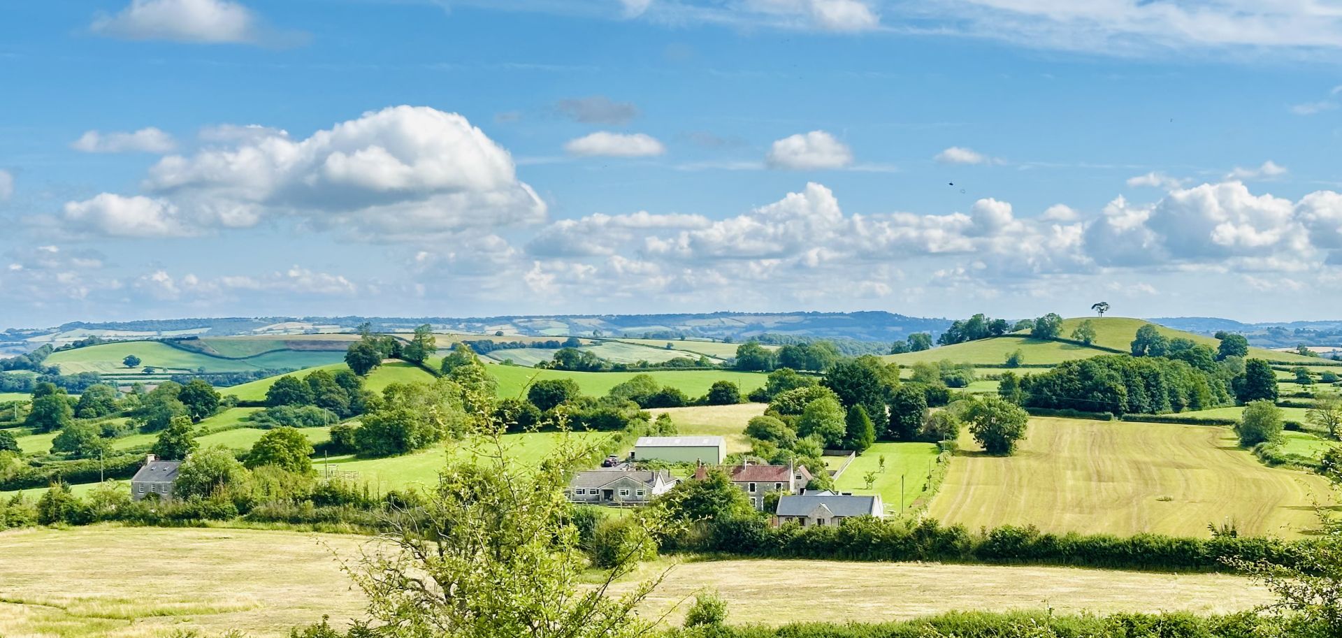 Timsbury countryside
