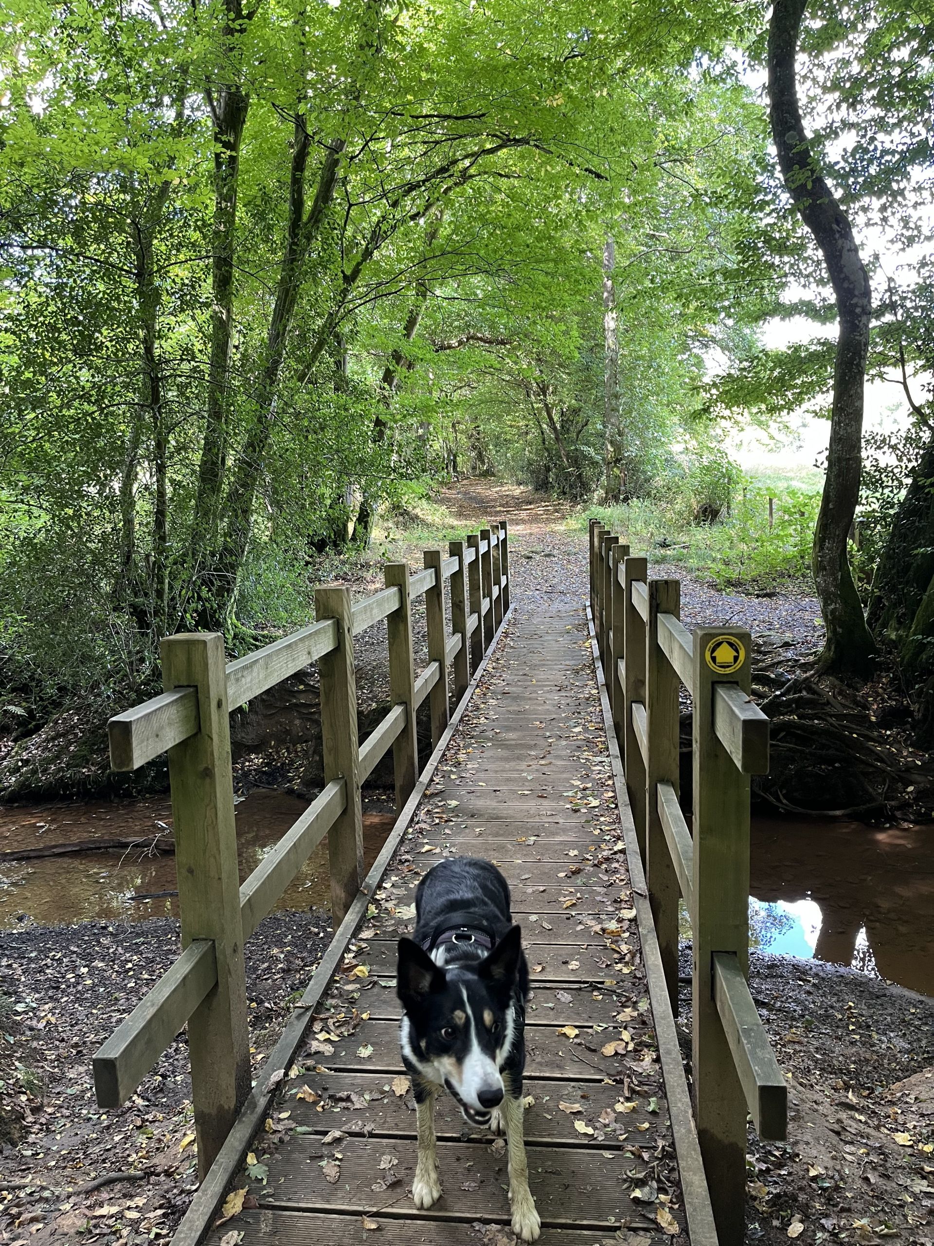 Footbridge