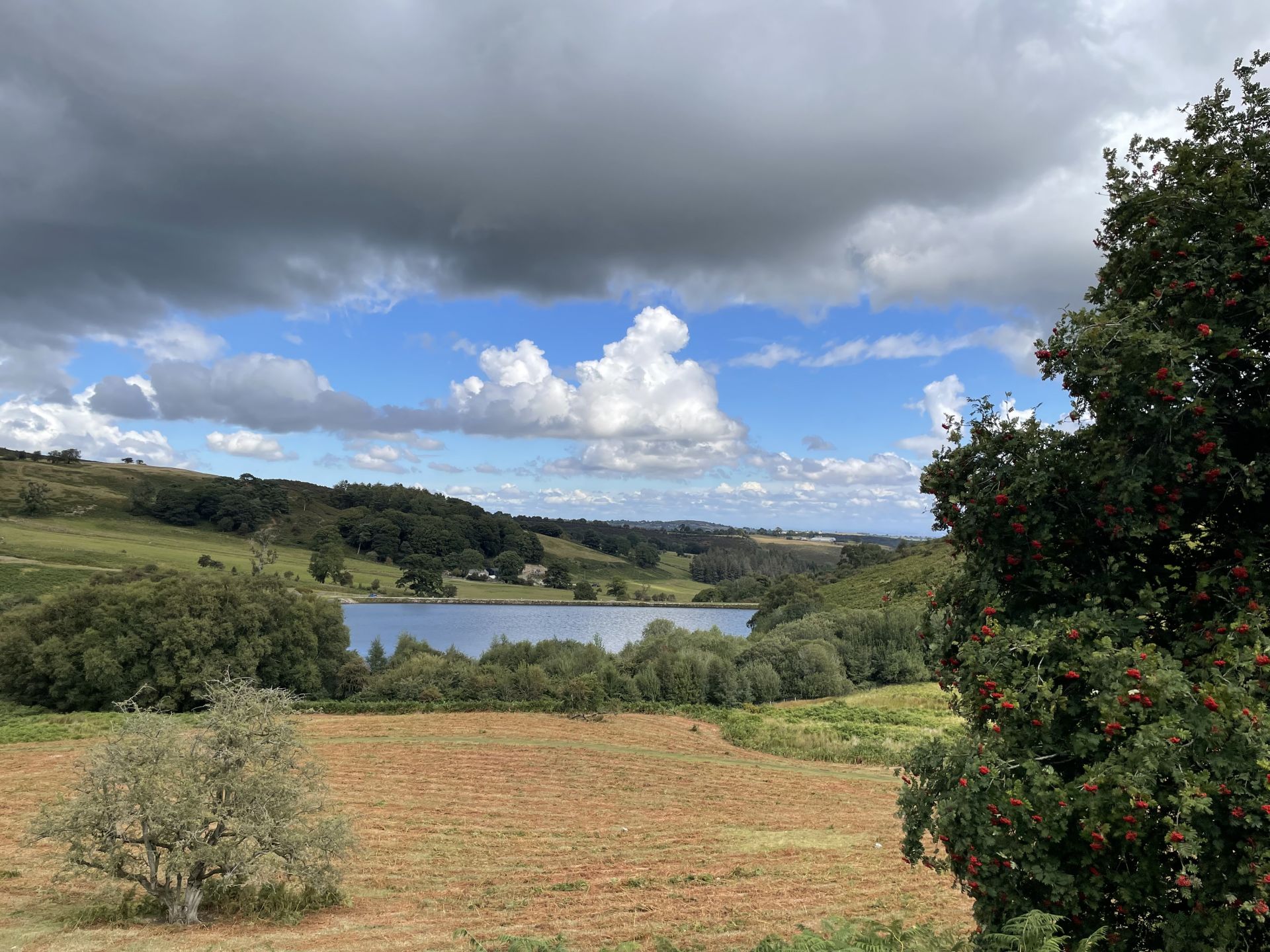 Lake near Moel Dywyll. Photo by Nigel Rimmer.