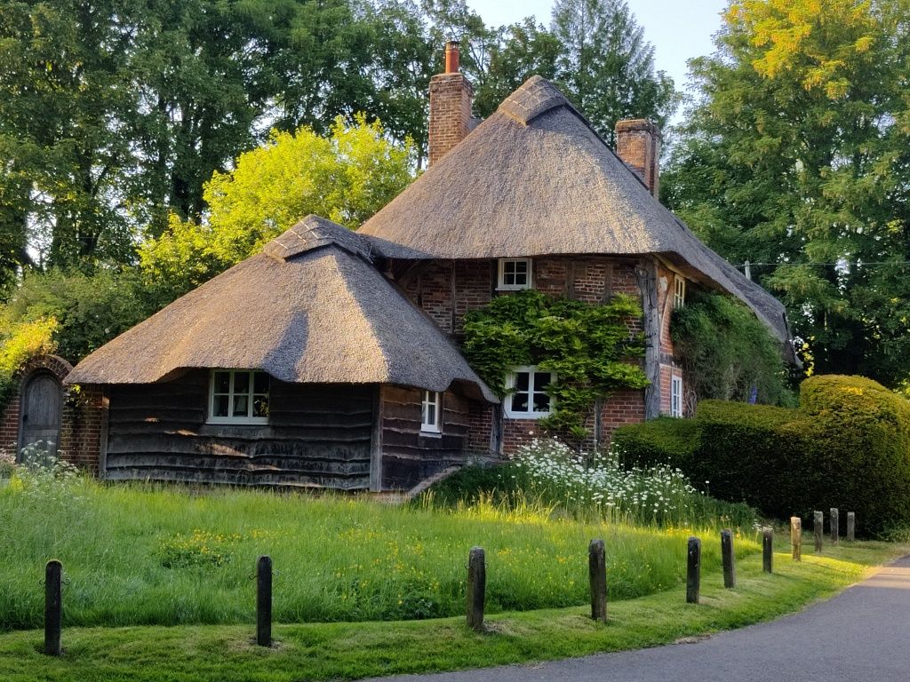Thatched cottage with a green sward of grass at the side. 