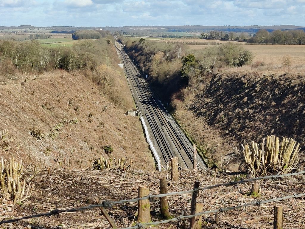View along a railway cutting with cut back vegetation.